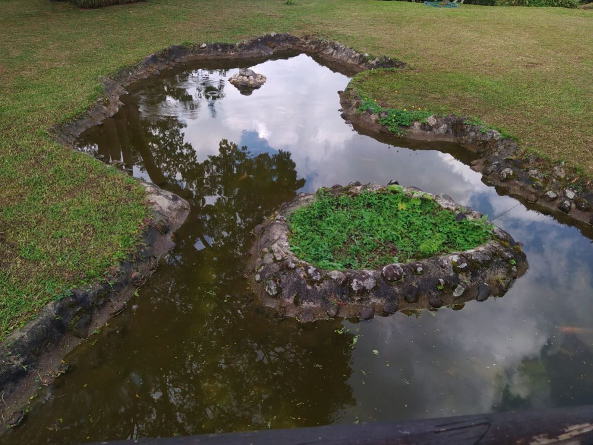 Foto de Finca en Venta en Tribunas consota, Pereira - 24 - 279053616