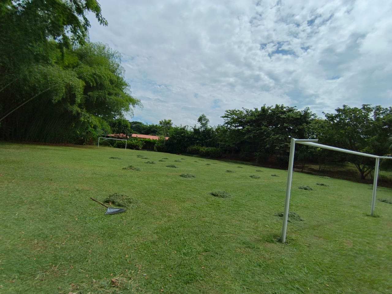 Foto de Lote / terreno en Venta en Condominio campestre reserva del campo, Manizales - 3 - 279064110