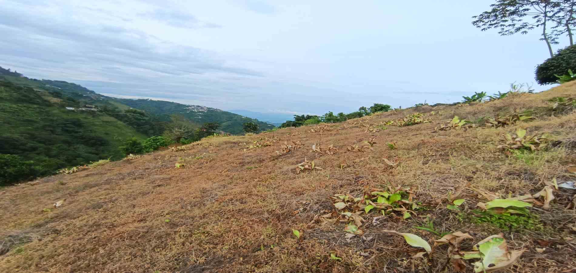 Foto de Lote / terreno en Arriendo en La linda, Manizales - 2 - 279069062