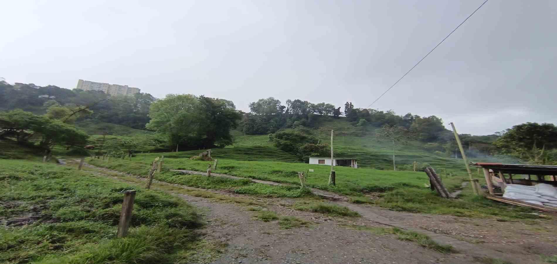 Foto de Finca para Venta en La francia, Manizales - 279066742