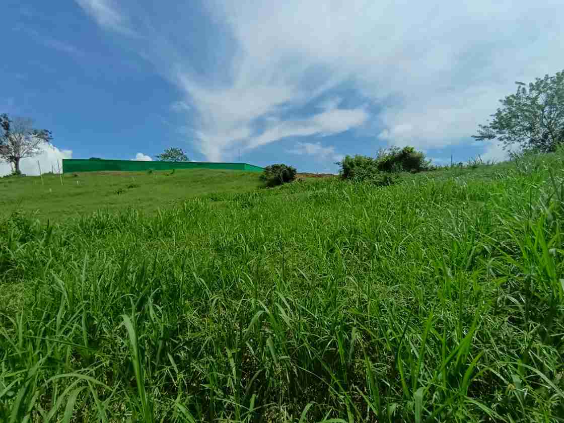 Foto de Lote / terreno en Venta en Vereda santagueda, Palestina - 8 - 279064397
