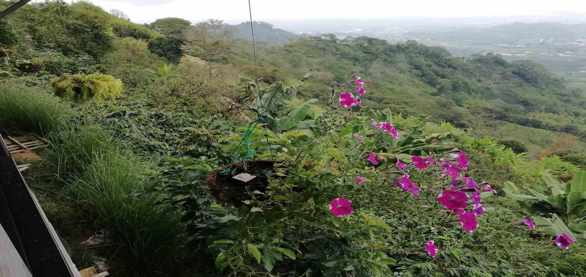 Foto de Finca en Venta en Parque industrial, Pereira - 29 - 279056903