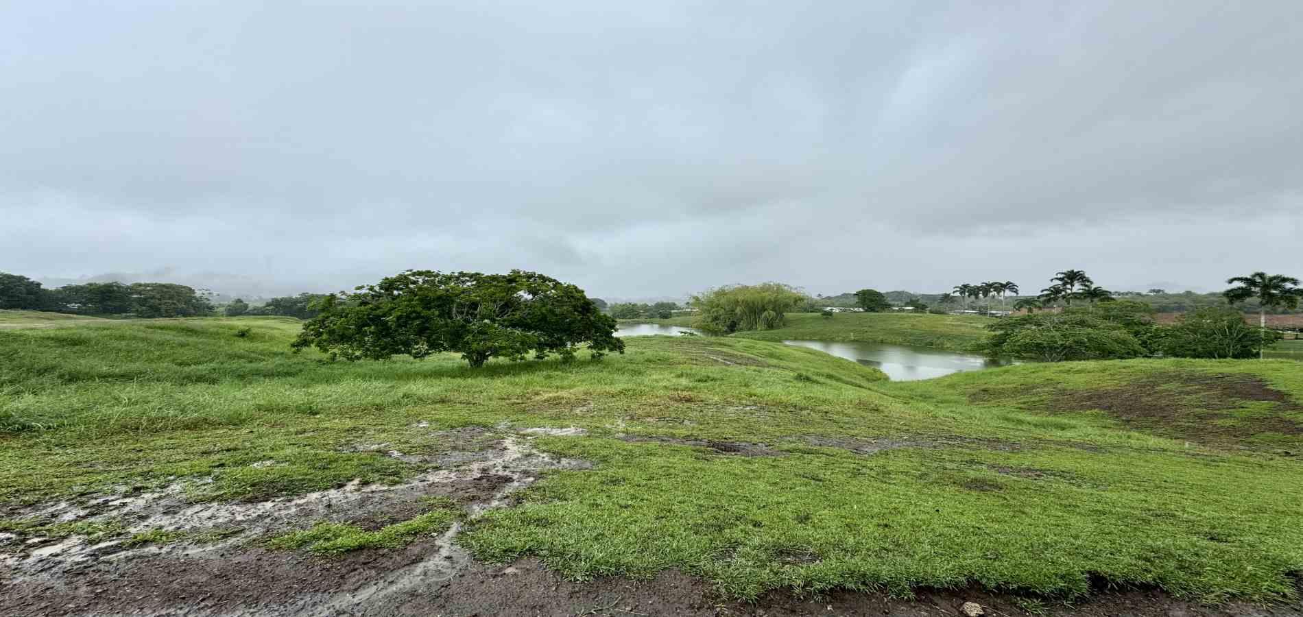 Foto de Lote / terreno en Venta en Cerritos, Pereira - 11 - 279059921
