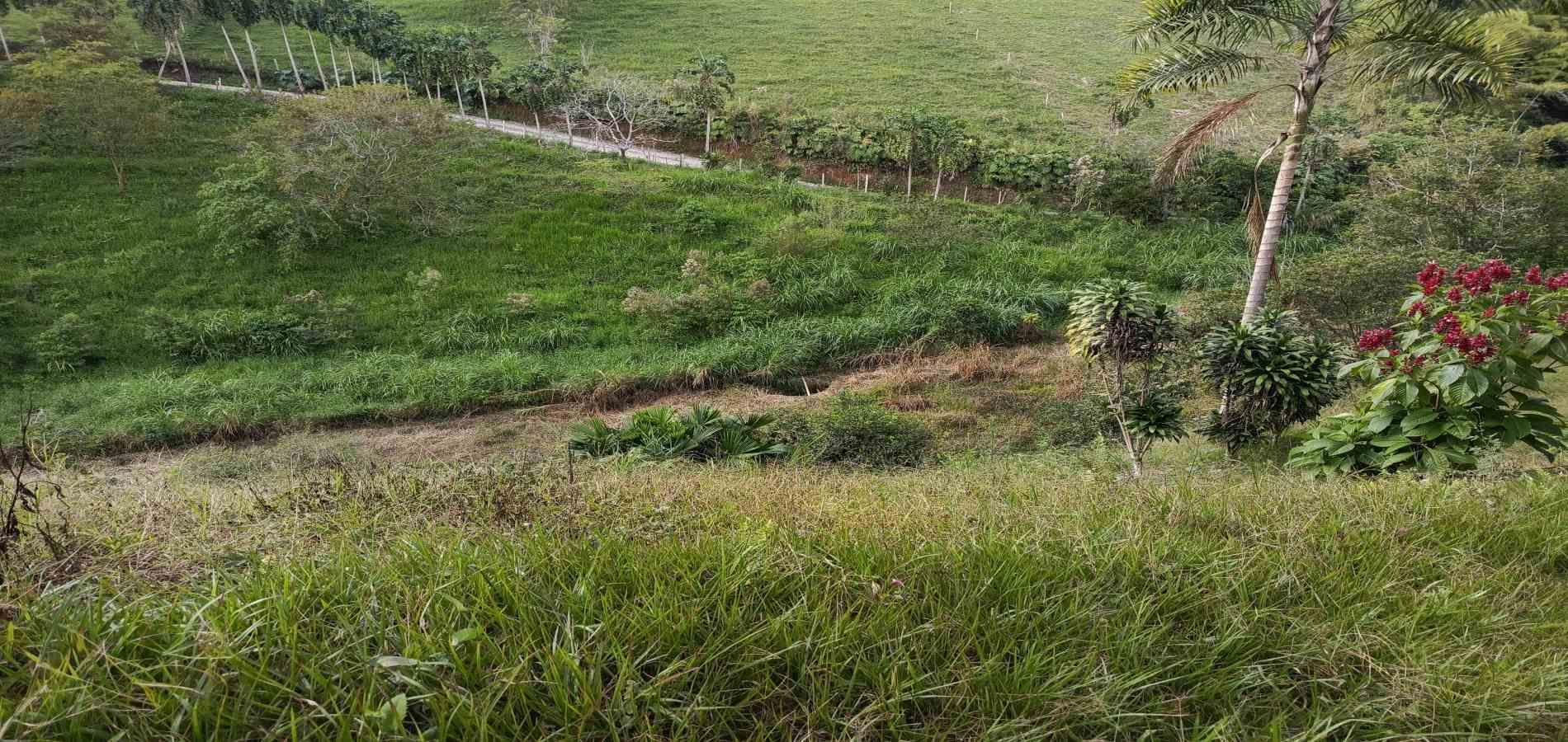 Foto de Lote / terreno en Venta en Via alcala, Pereira - 3 - 279061897