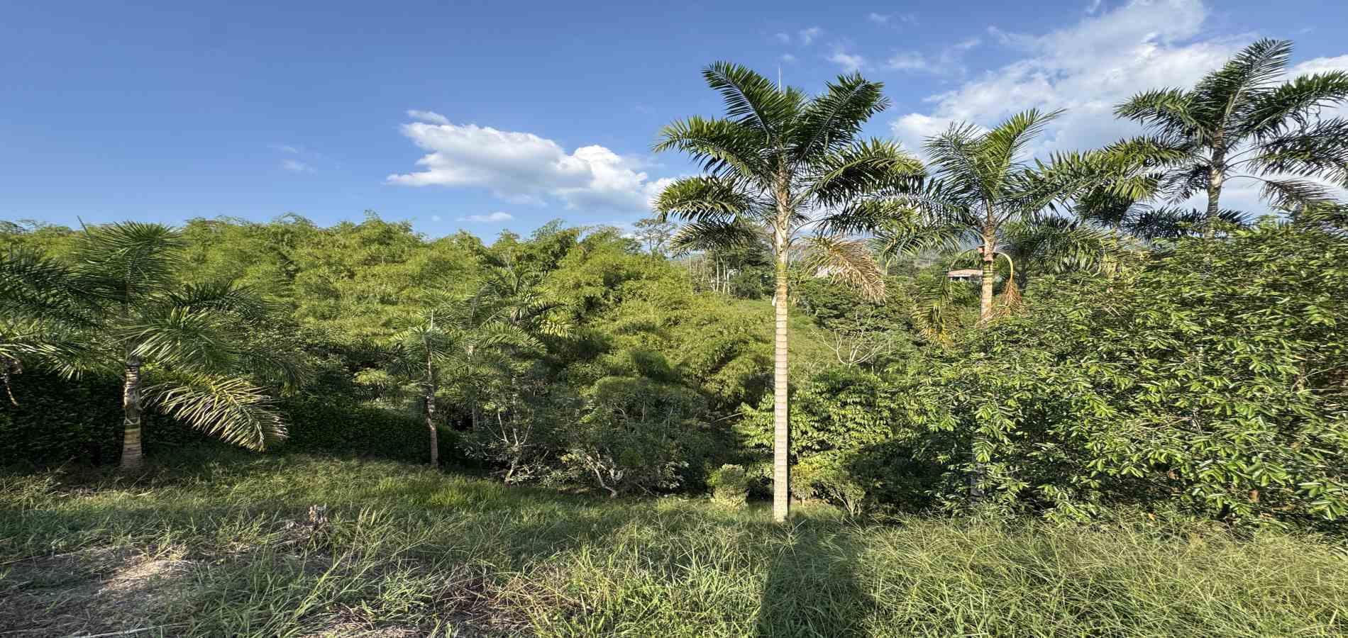 Foto de Lote / terreno en Venta en Combia, Pereira - 7 - 279060485
