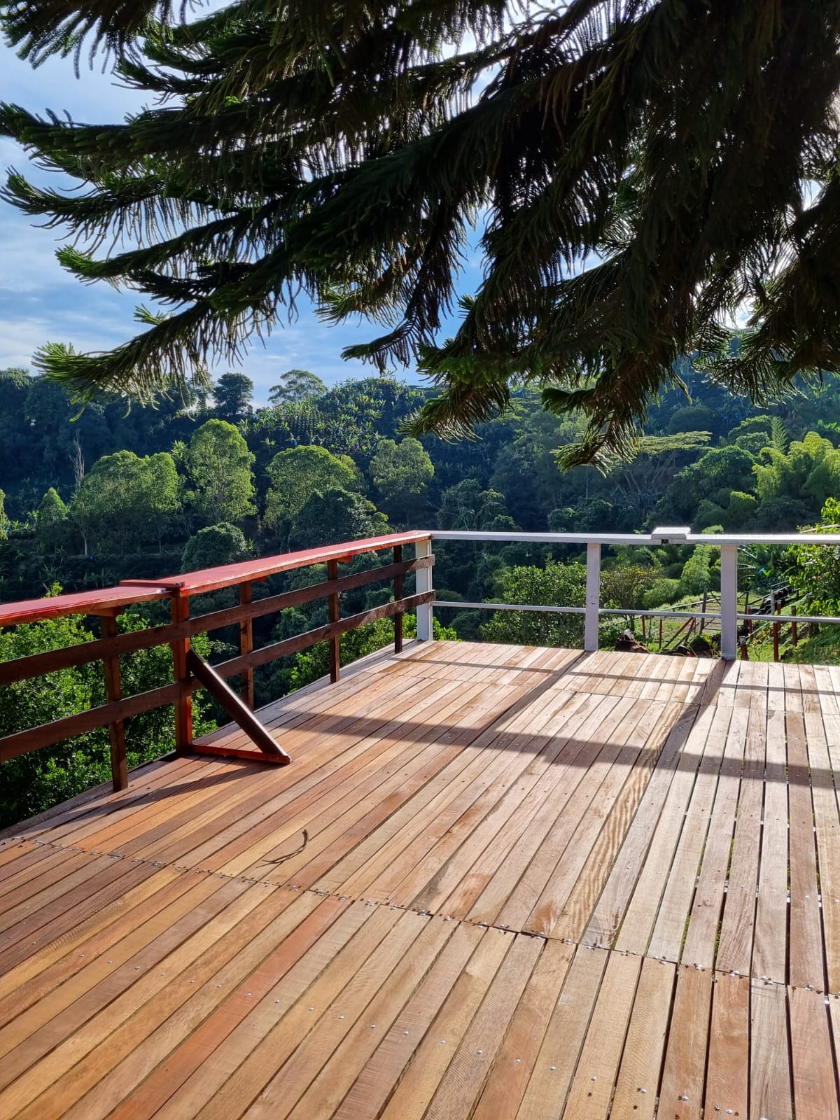 Foto de Finca para Venta en Combia, Pereira - 51996