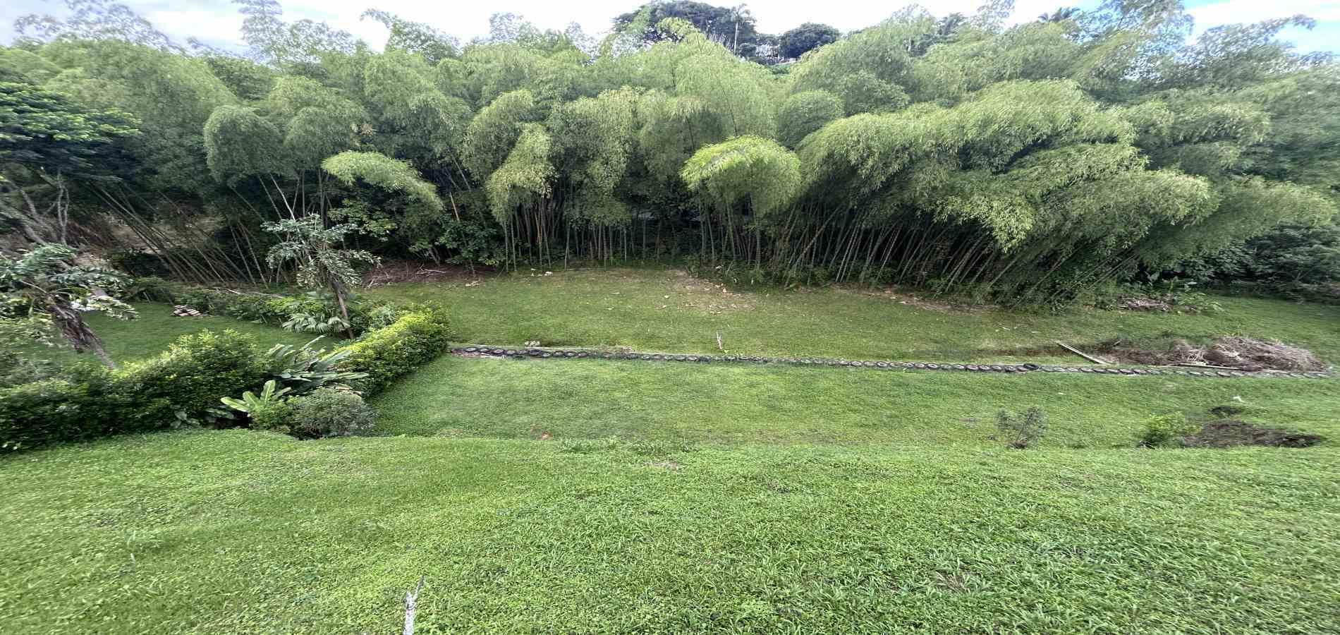 Foto de Lote / terreno en Venta en Pueblito cafetero, Pereira - 4 - 279068769