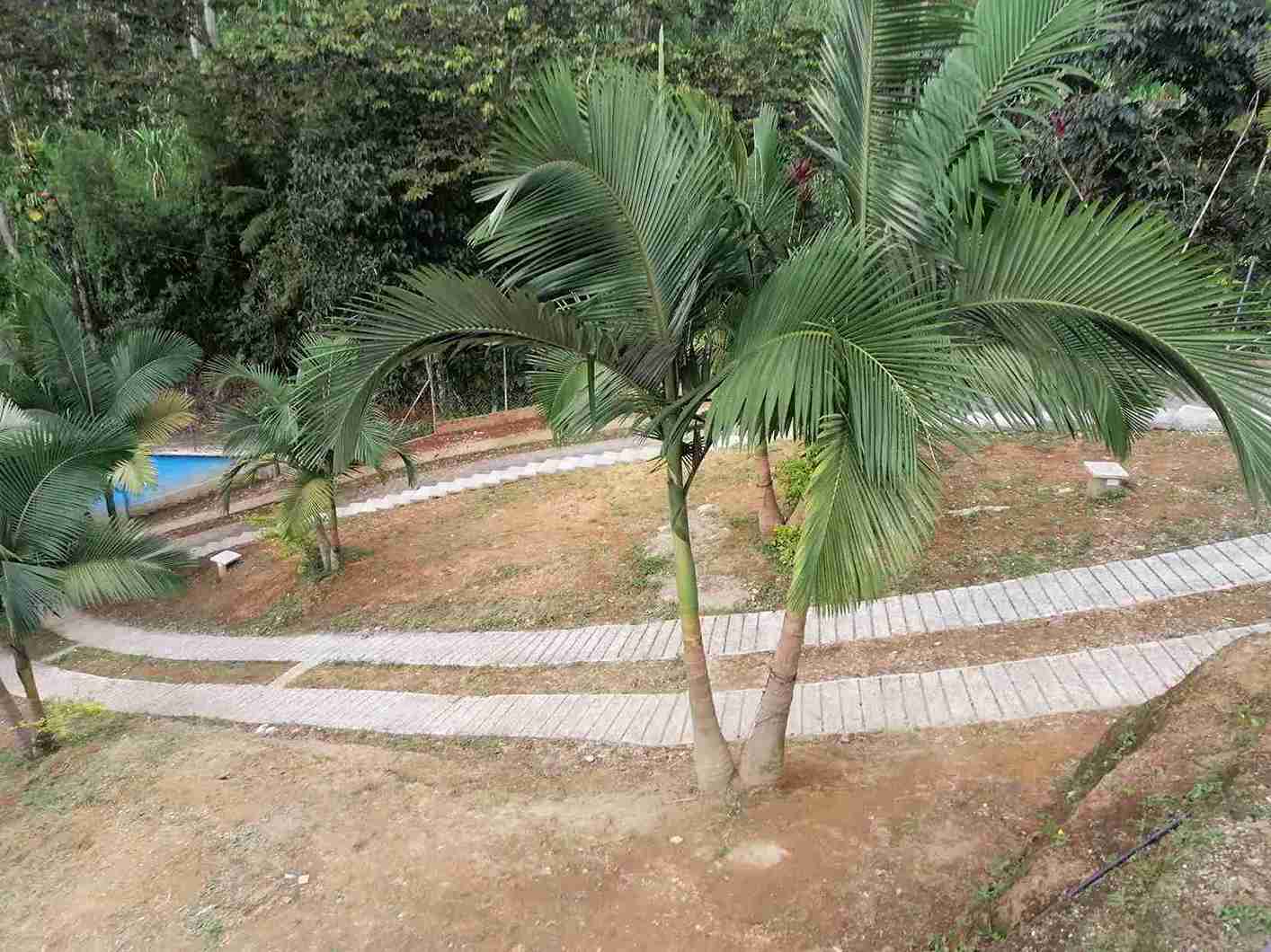 Foto de Finca en Venta en La florida, Pereira - 14 - 279058258