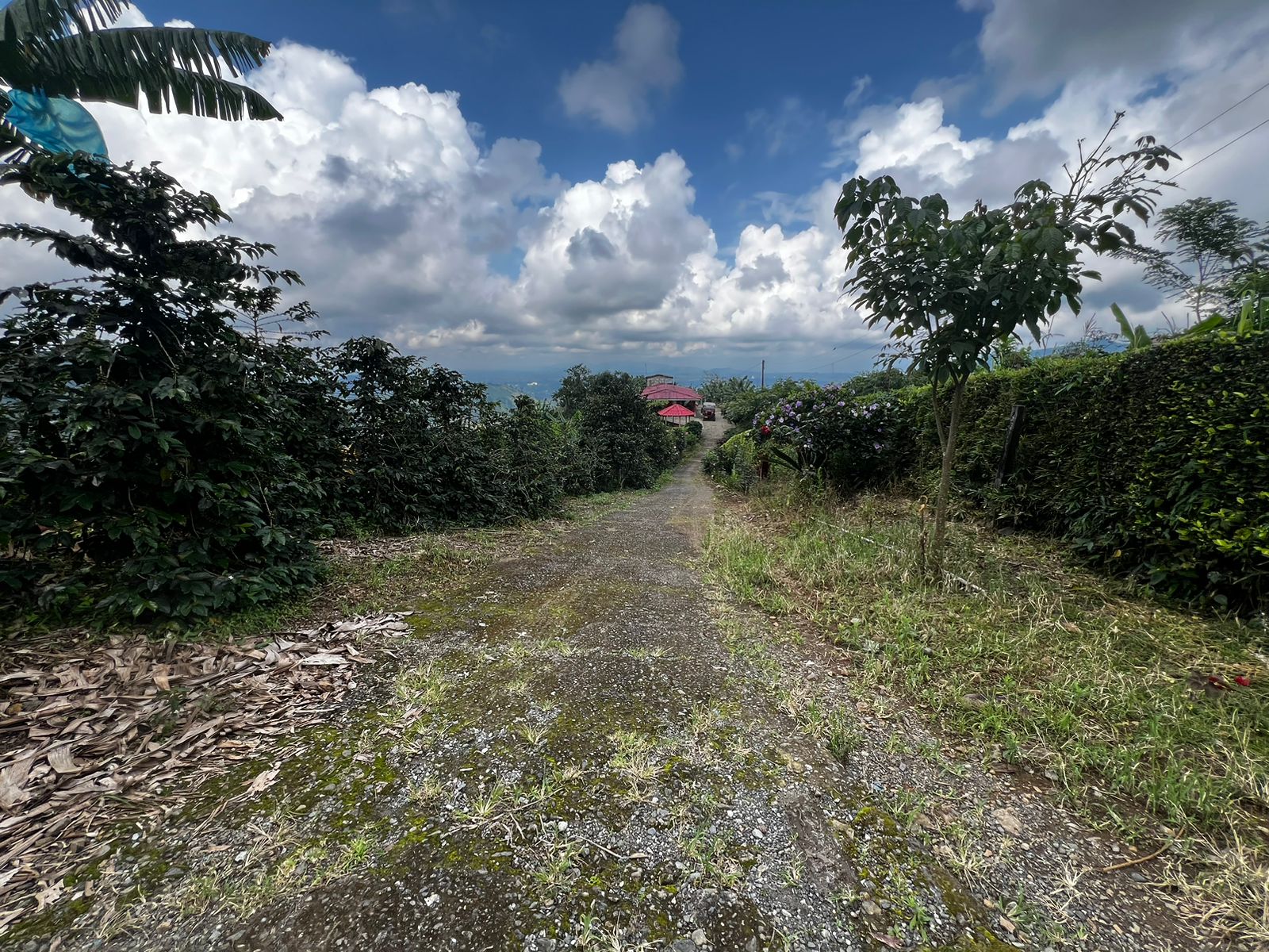 Foto de Finca en Venta en San vicente, Pereira - 5 - 279057869