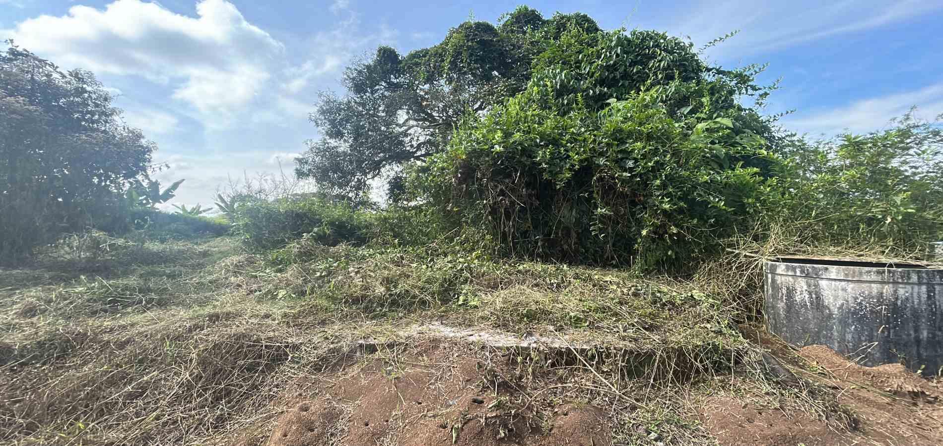 Foto de Lote / terreno en Venta en Via alcala, Pereira - 5 - 279066755