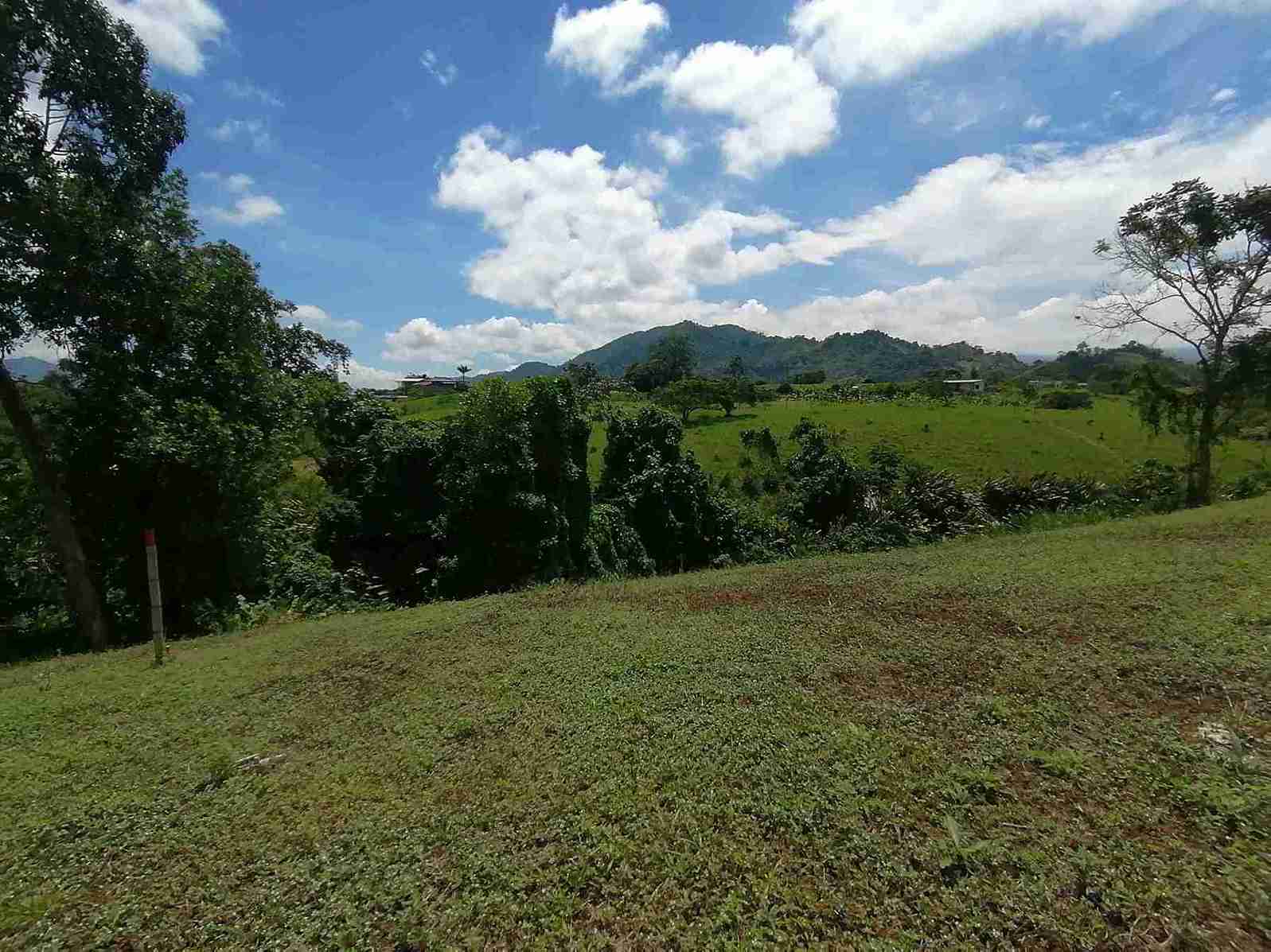 Foto de Lote / terreno en Venta en Combia, Pereira - 2 - 279060927