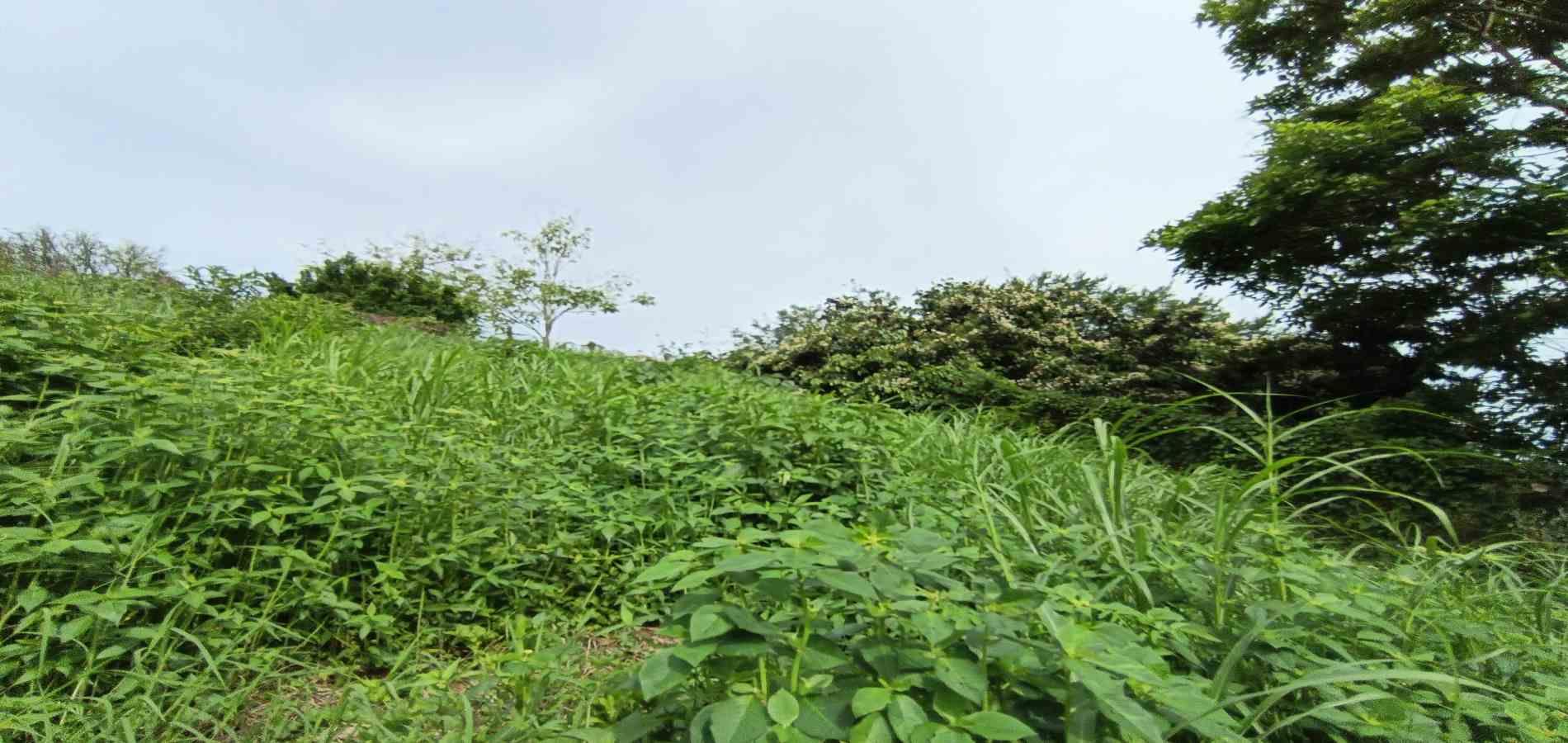 Foto de Lote / terreno en Venta en San bernardo del viento , Manizales - 10 - 279068029