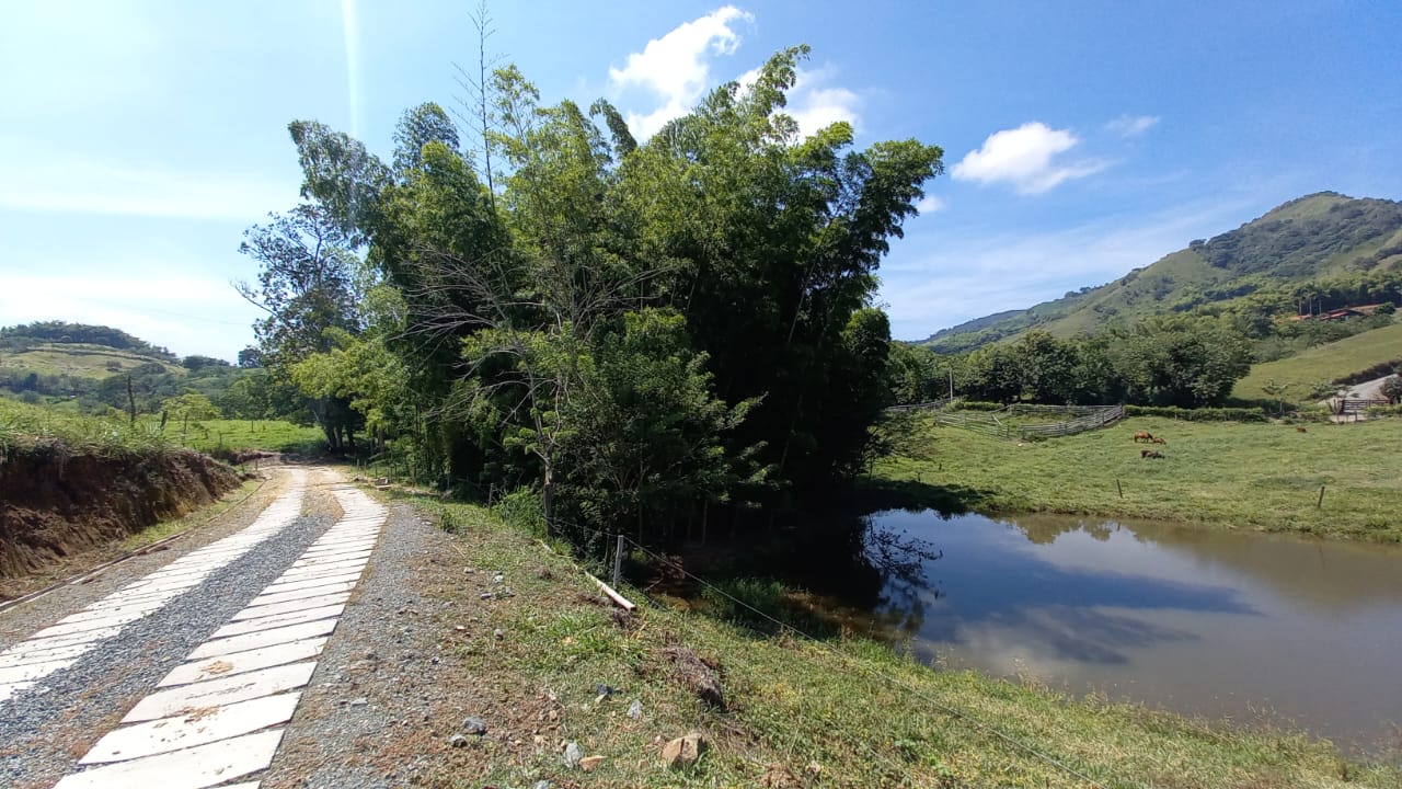 Foto de Lote / terreno en Venta en Vereda santagueda, Palestina - 17 - 279058796