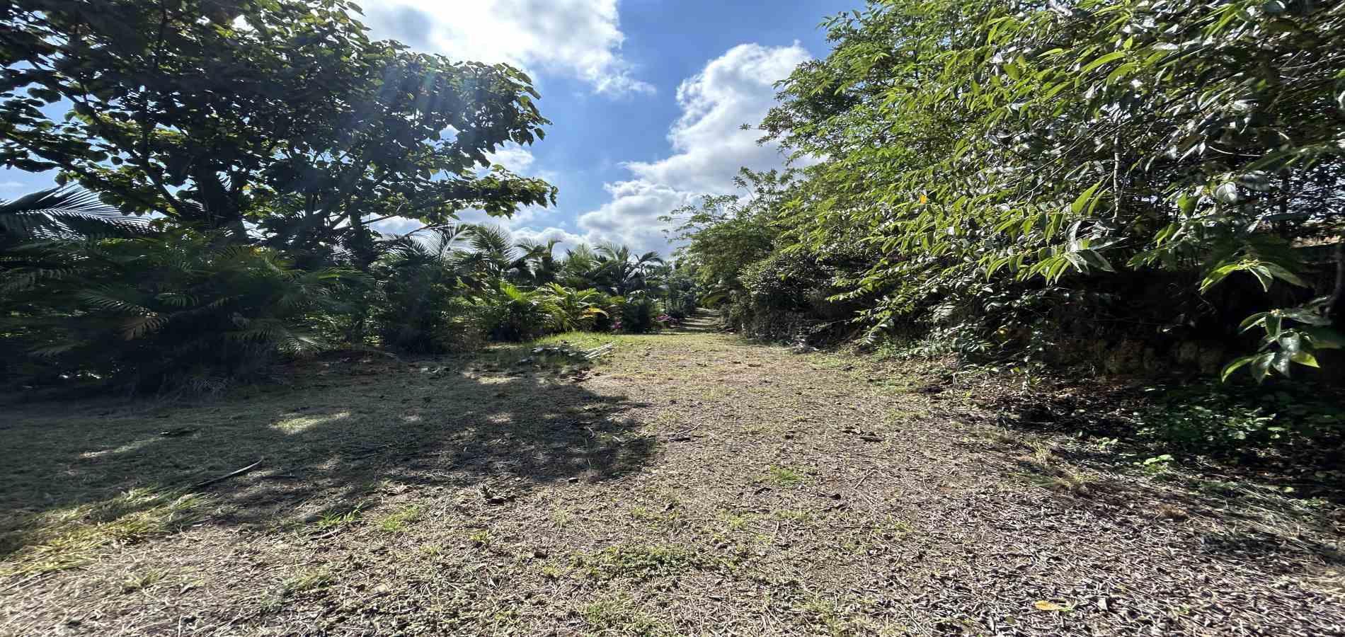 Foto de Lote / terreno en Venta en Cerritos, Pereira - 5 - 279068246