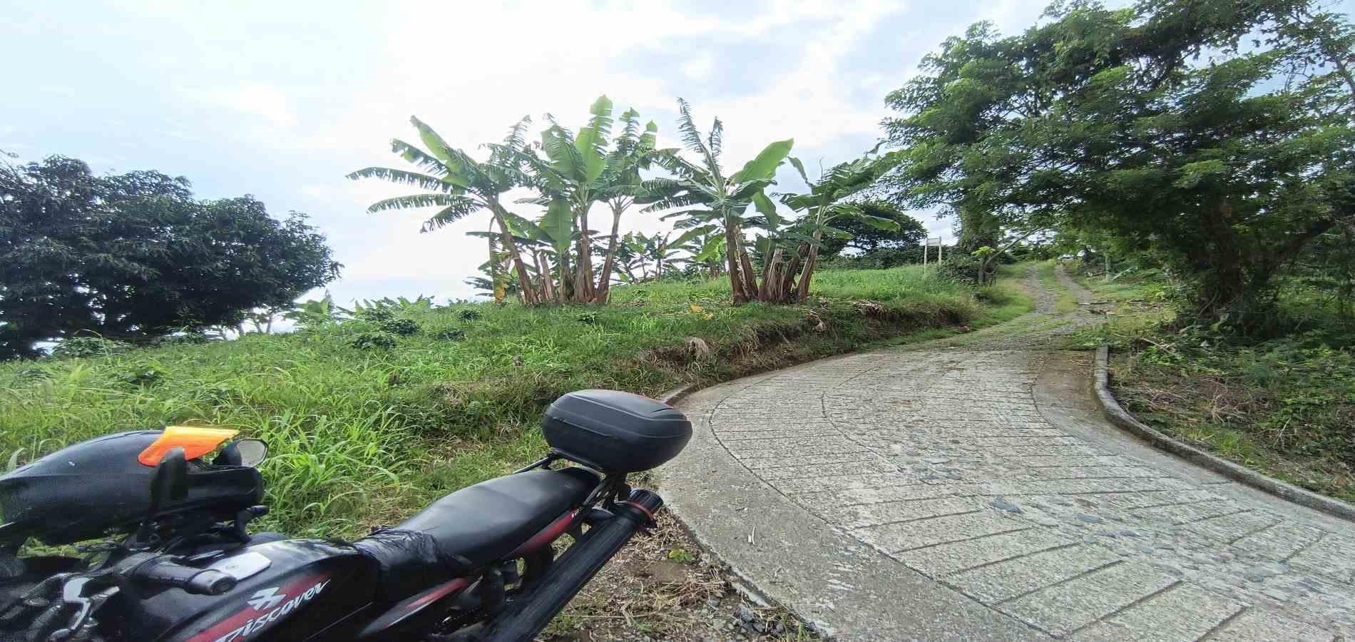 Foto de Lote / terreno en Venta en San peregrino, Manizales - 26 - 279068552