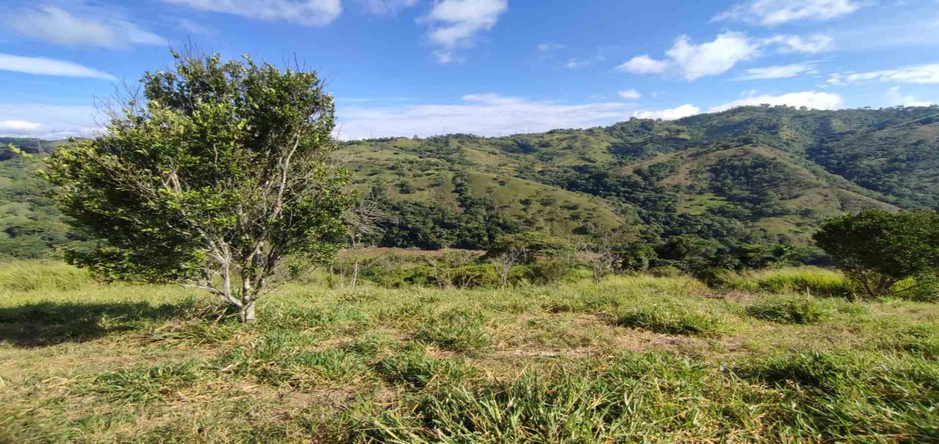 Foto de Lote / terreno en Venta en Cerritos, Pereira - 16 - 279064552