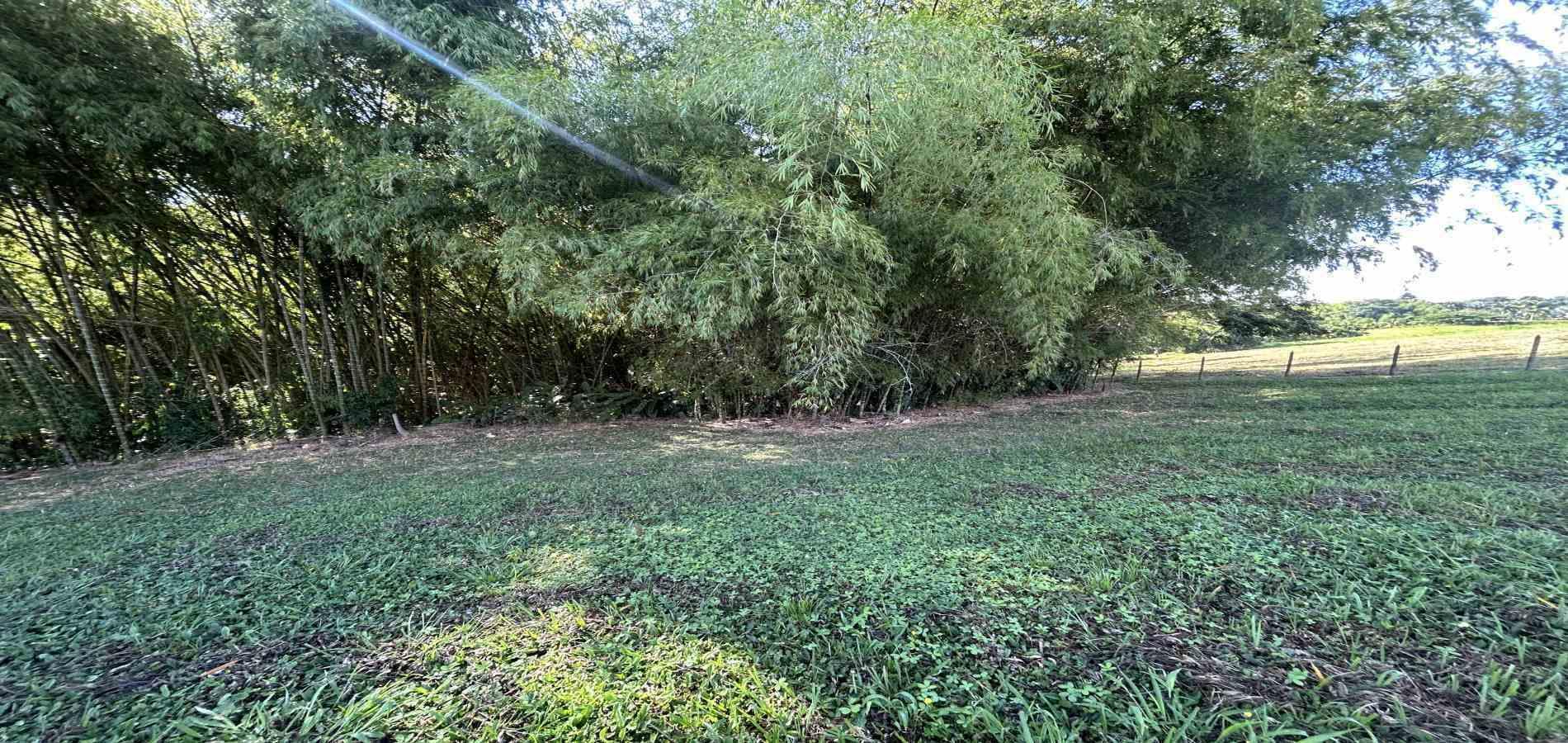 Foto de Lote / terreno en Venta en Cerritos, Pereira - 12 - 279069202