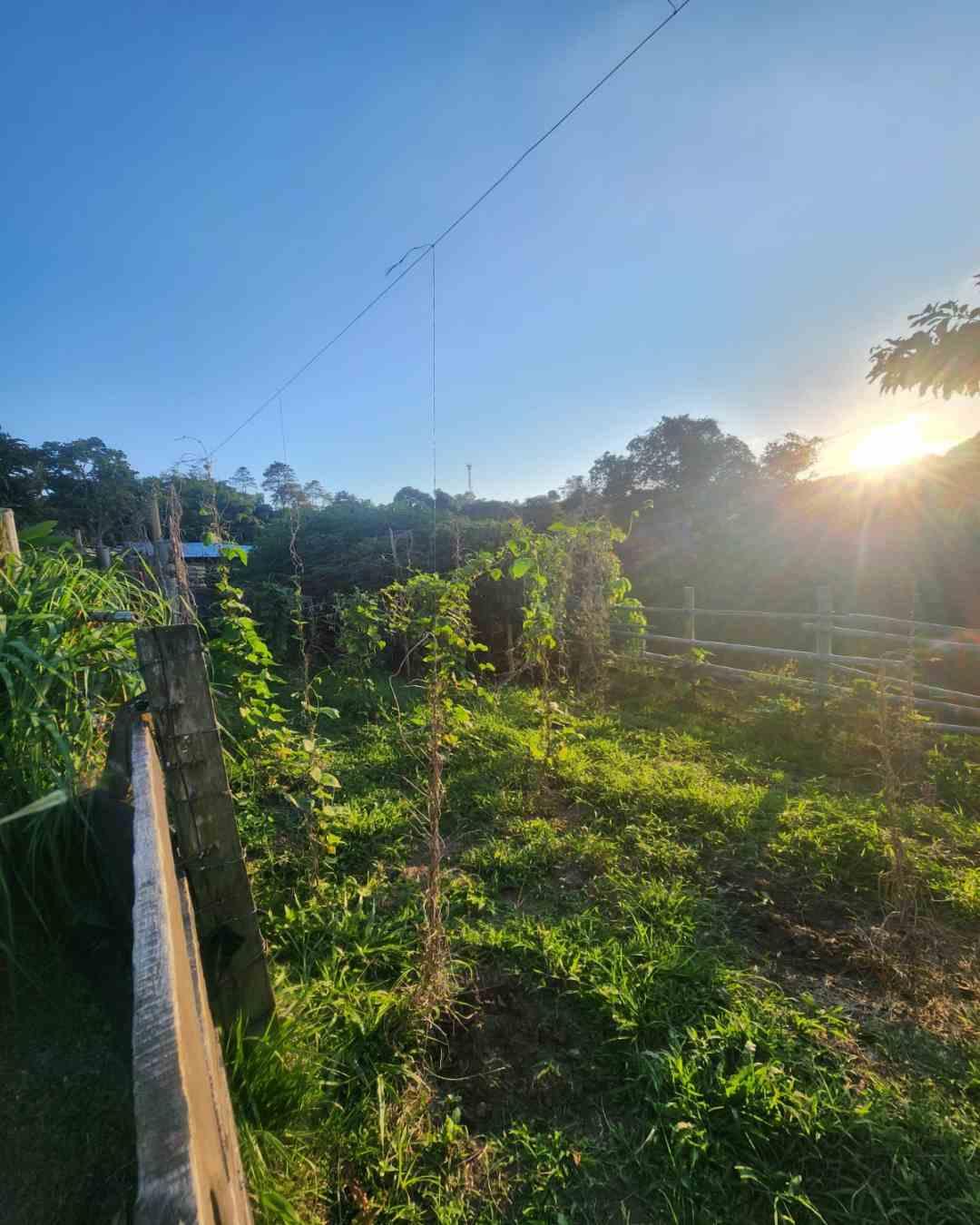 Foto de Finca en Venta en Filandia, Filandia - 12 - 279066535