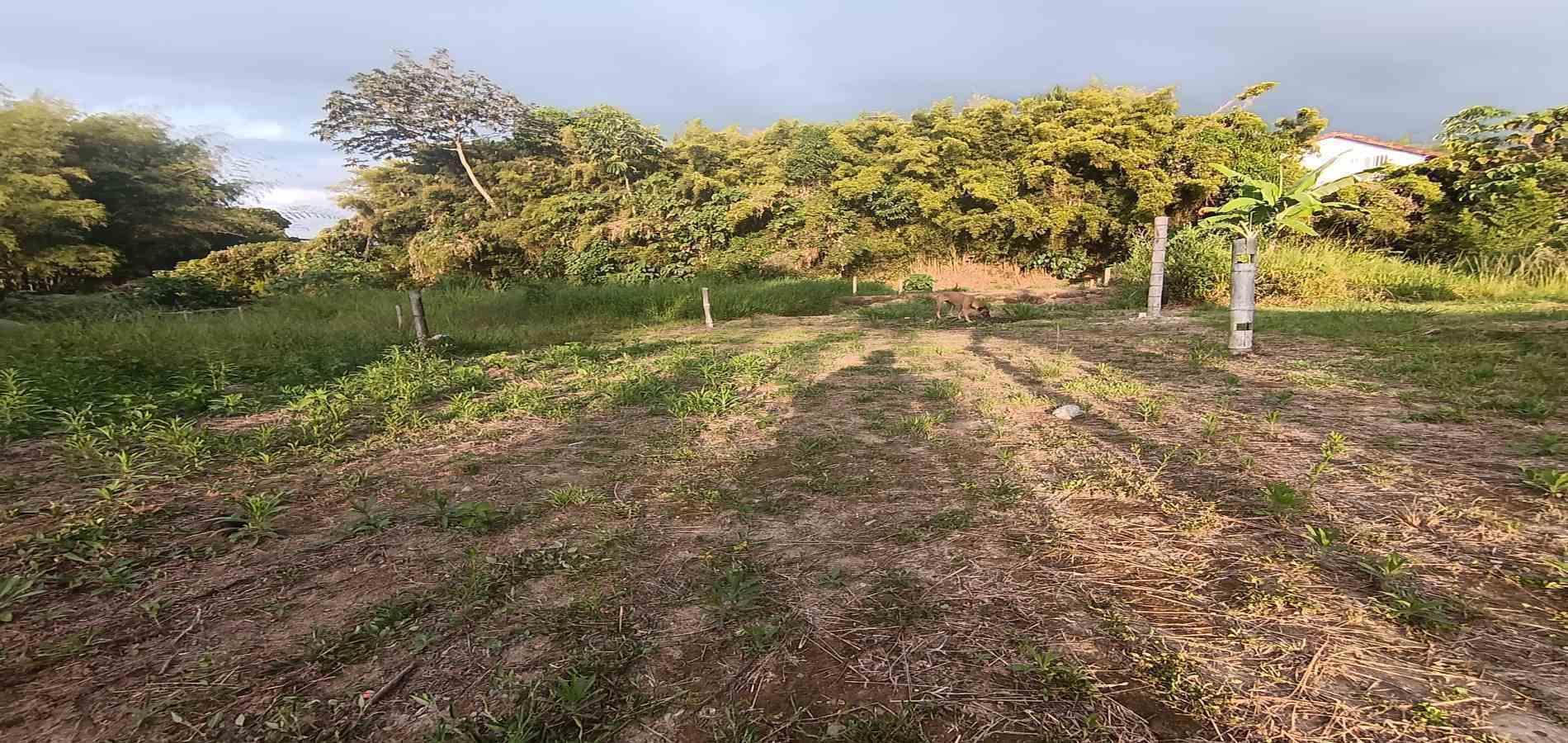 Foto de Lote / terreno en Venta en UrbanizaciÓn santana, Armenia  - 27 - 279059323