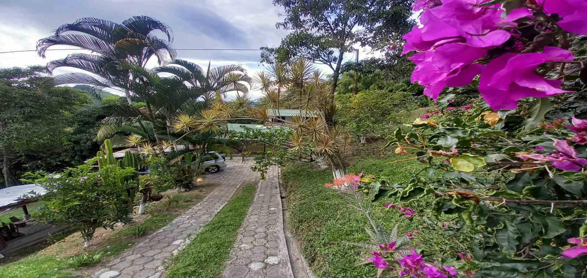 Foto de Finca en Venta en La cabaña, Manizales - 21 - 279053151