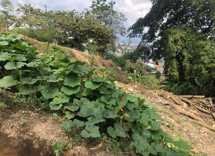 Foto de Lote / terreno en Venta en Maraya, Pereira - 1 - 279053175