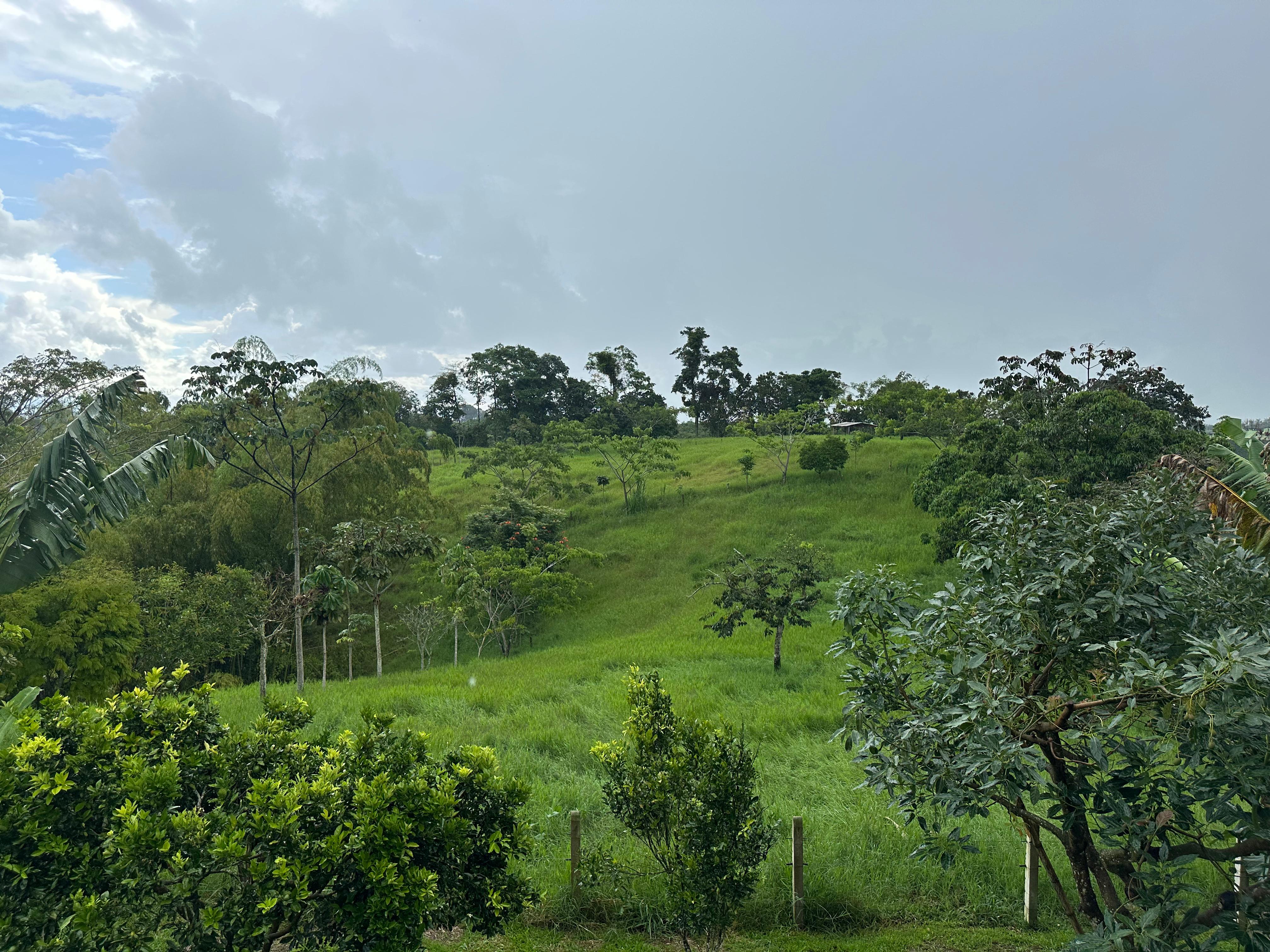 Foto de Finca en Venta en Via armenia, Pereira - 6 - 279062736