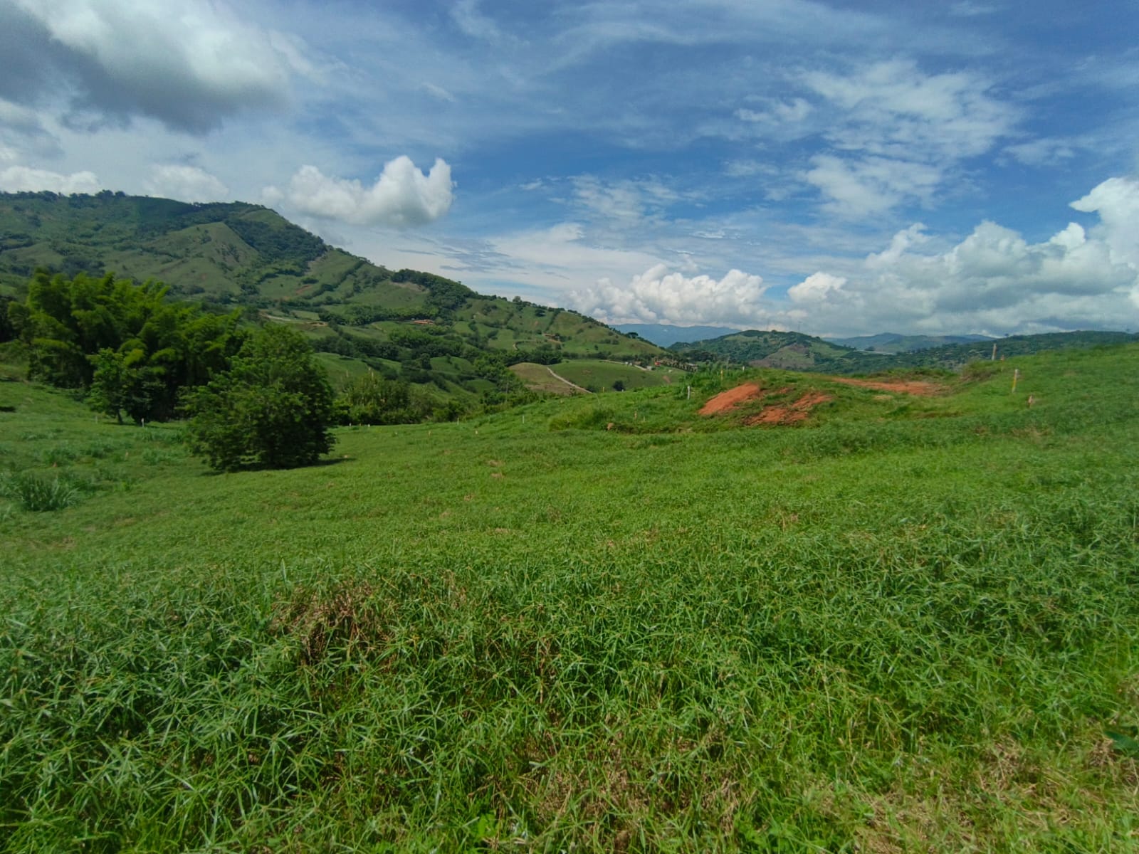 Foto de Lote / terreno en Venta en Vereda santagueda, Palestina - 2 - 279064627
