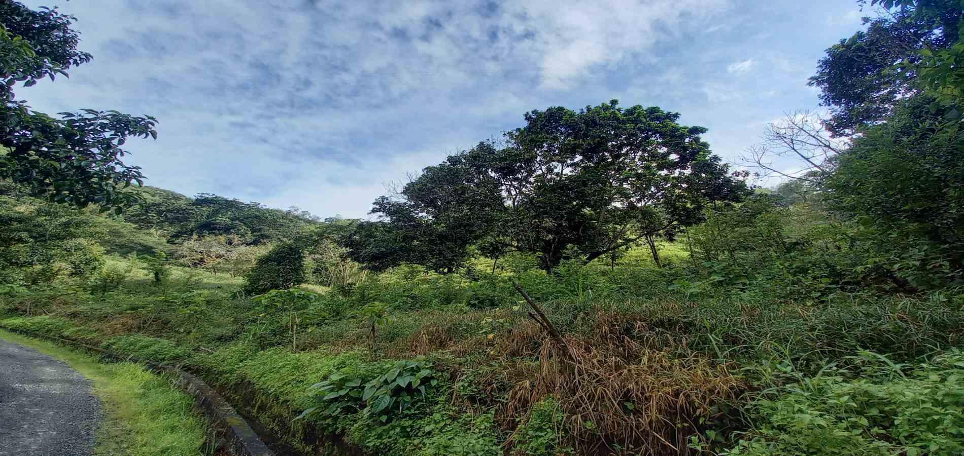Foto de Lote / terreno en Venta en Vereda la trinidad, Manizales - 5 - 279062688