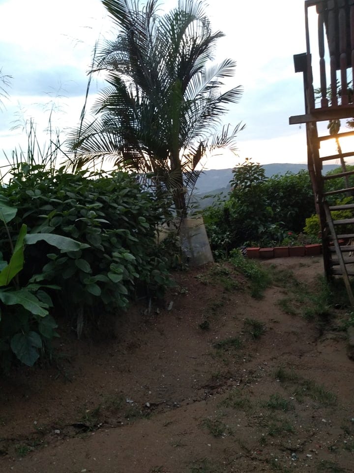 Foto de Lote / terreno en Venta en Vereda minitas , Manizales - 7 - 279025810