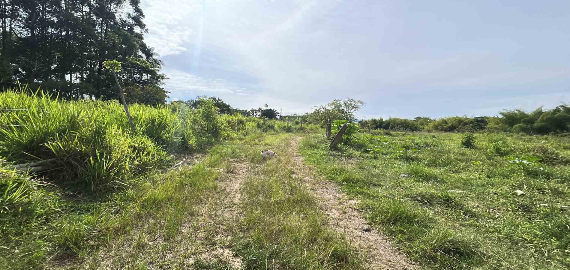 Foto de Lote / terreno en Venta en Cerritos, Pereira - 3 - 279068090