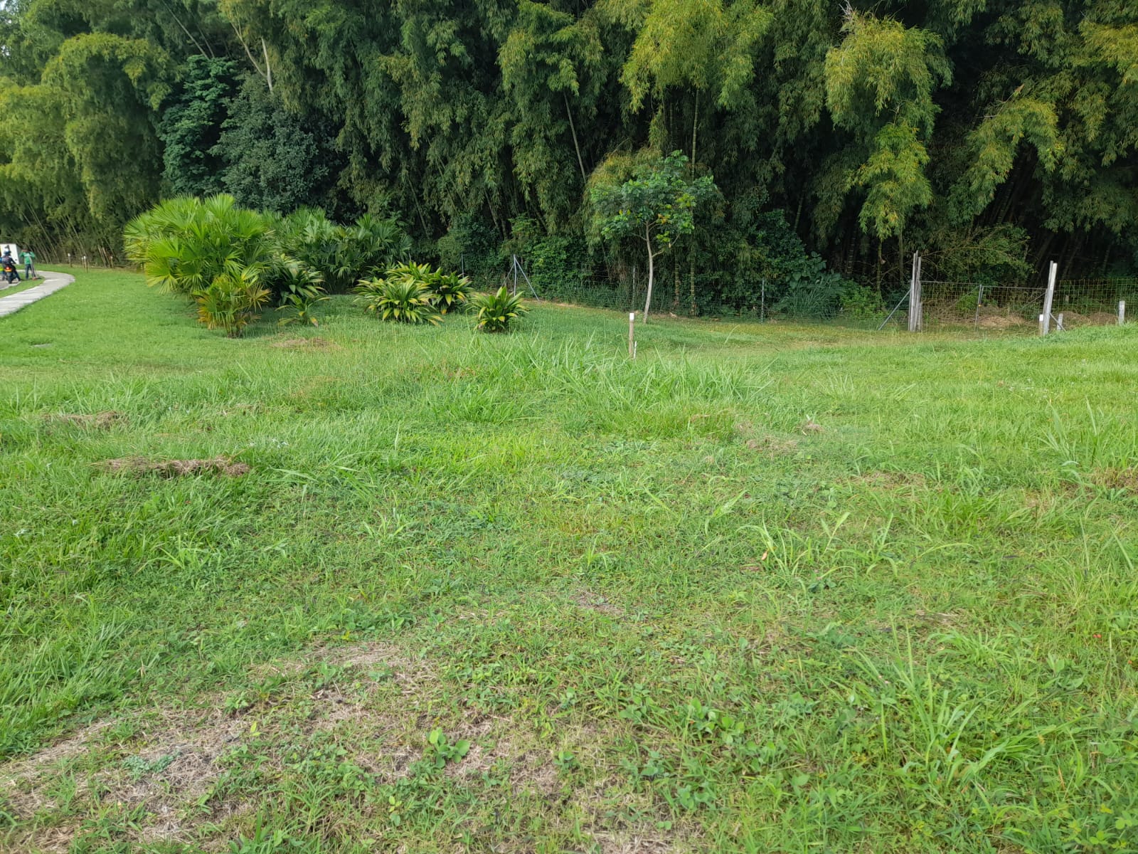Foto de Lote / terreno en Venta en La floresta, Pereira - 8 - 279065198