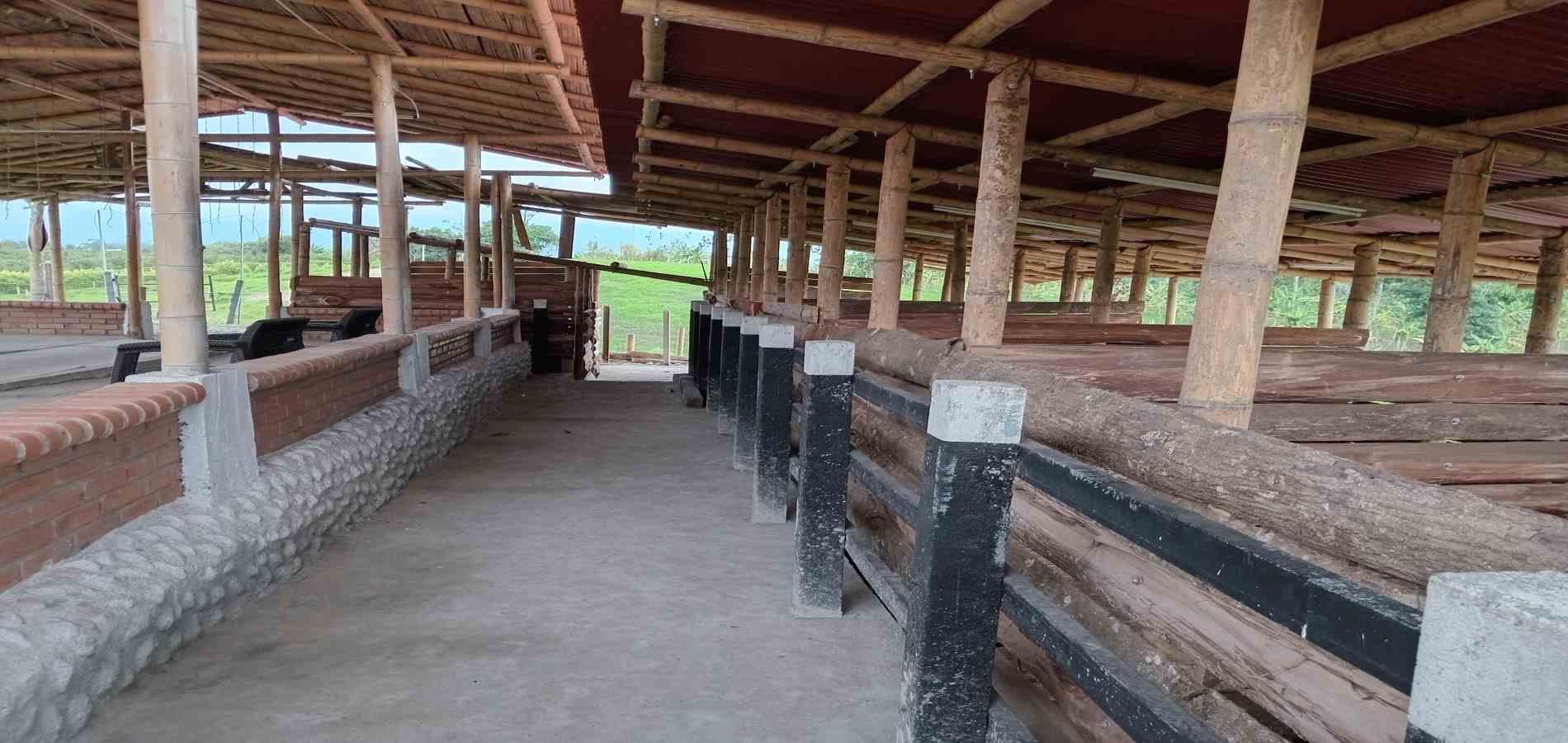 Foto de Finca en Venta en A dos cuadras del parque, Circasia - 4 - 279056832