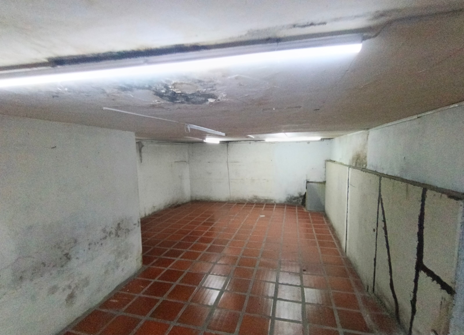Foto de Local para Arriendo en Linares , Manizales - 279070182