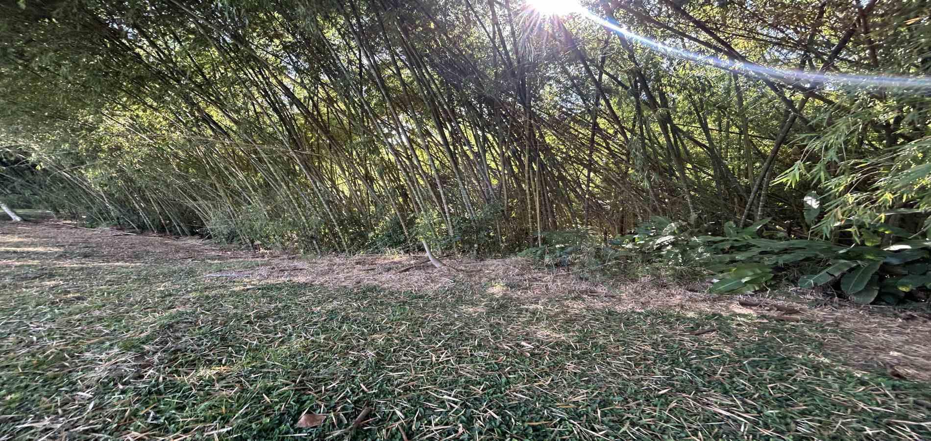 Foto de Lote / terreno en Venta en Cerritos, Pereira - 13 - 279069202