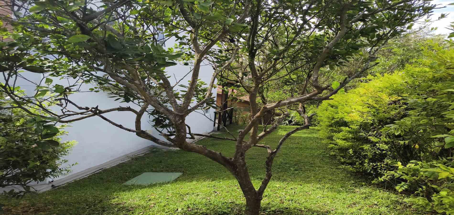 Foto de Casa campestre en Venta en Via aeropuerto el eden, Armenia  - 11 - 279068192