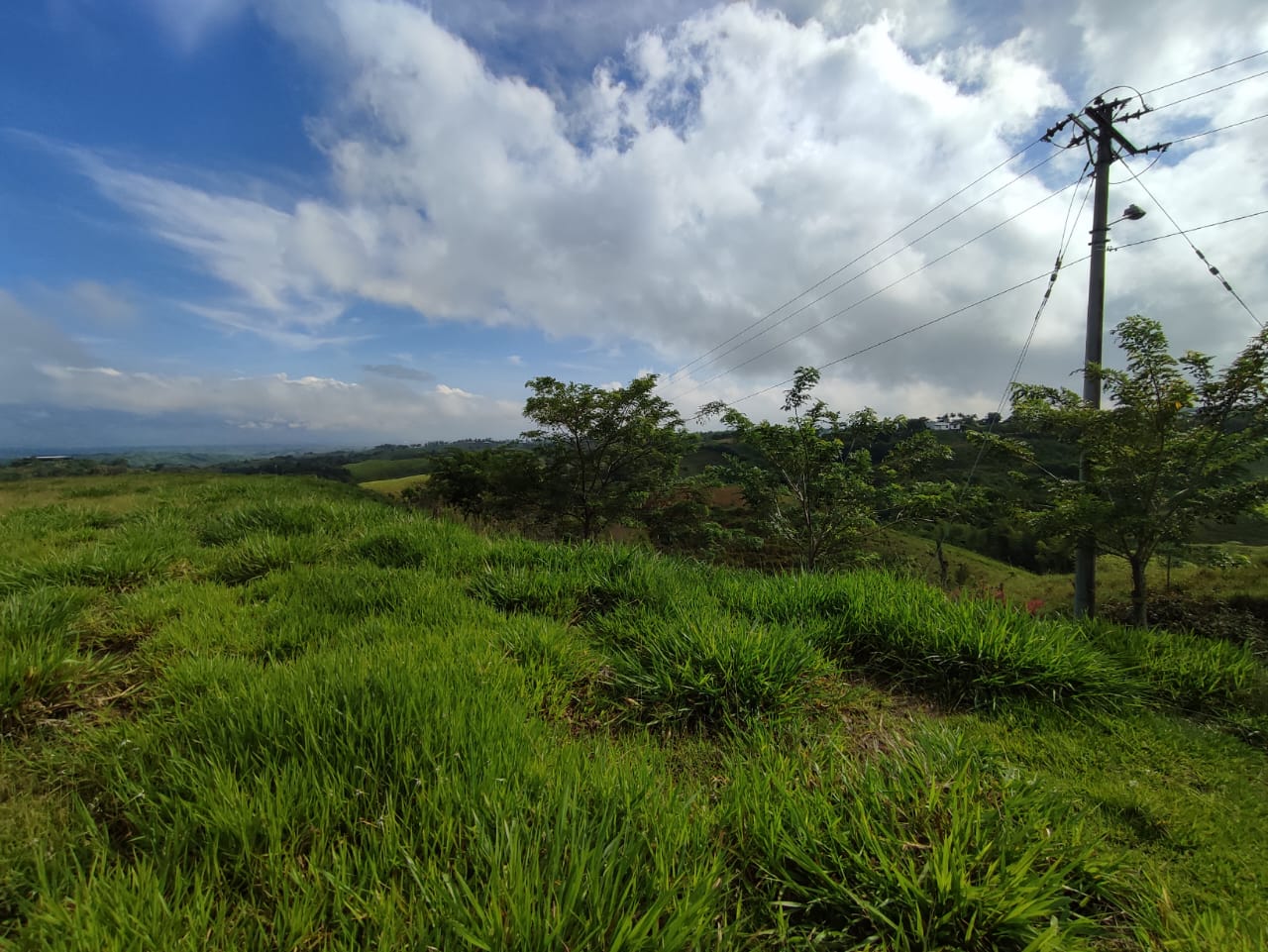 Foto de Lote / terreno en Venta en Cerritos, Pereira - 3 - 279063190