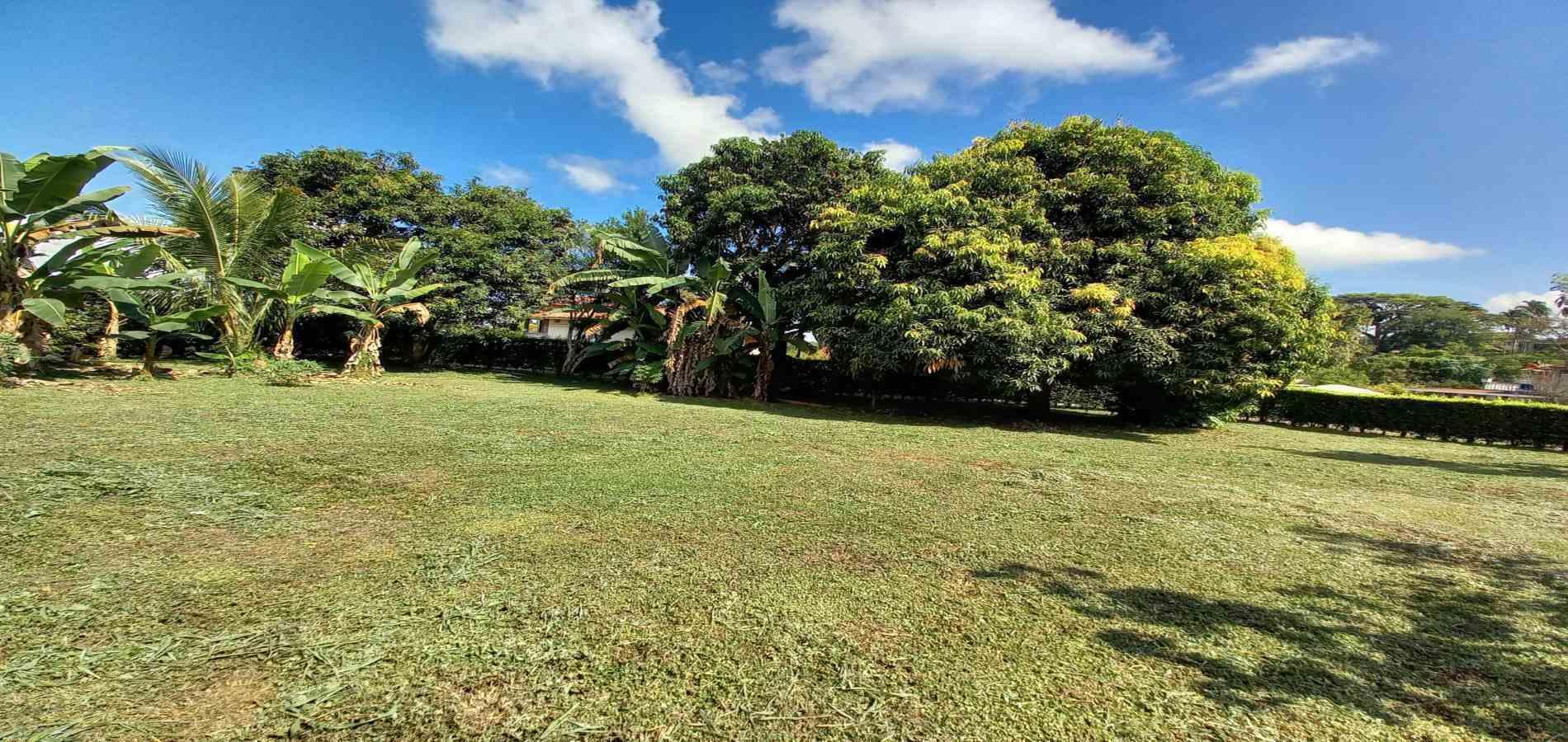 Foto de Lote / terreno en Venta en Vereda santagueda, Palestina - 36 - 279060420