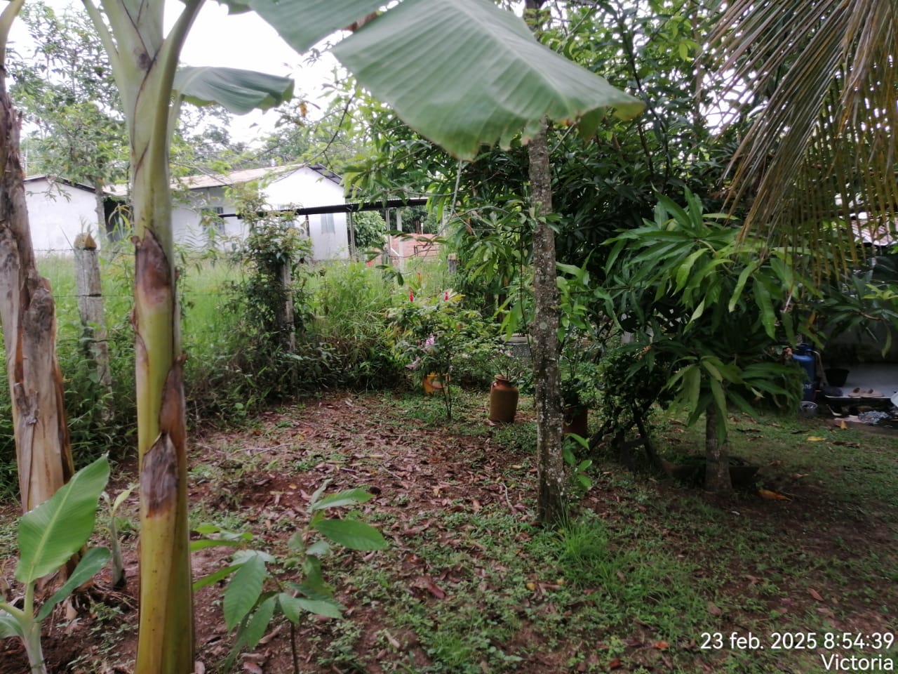 Foto de Finca en Venta en Victoria, Victoria - 11 - 279061622