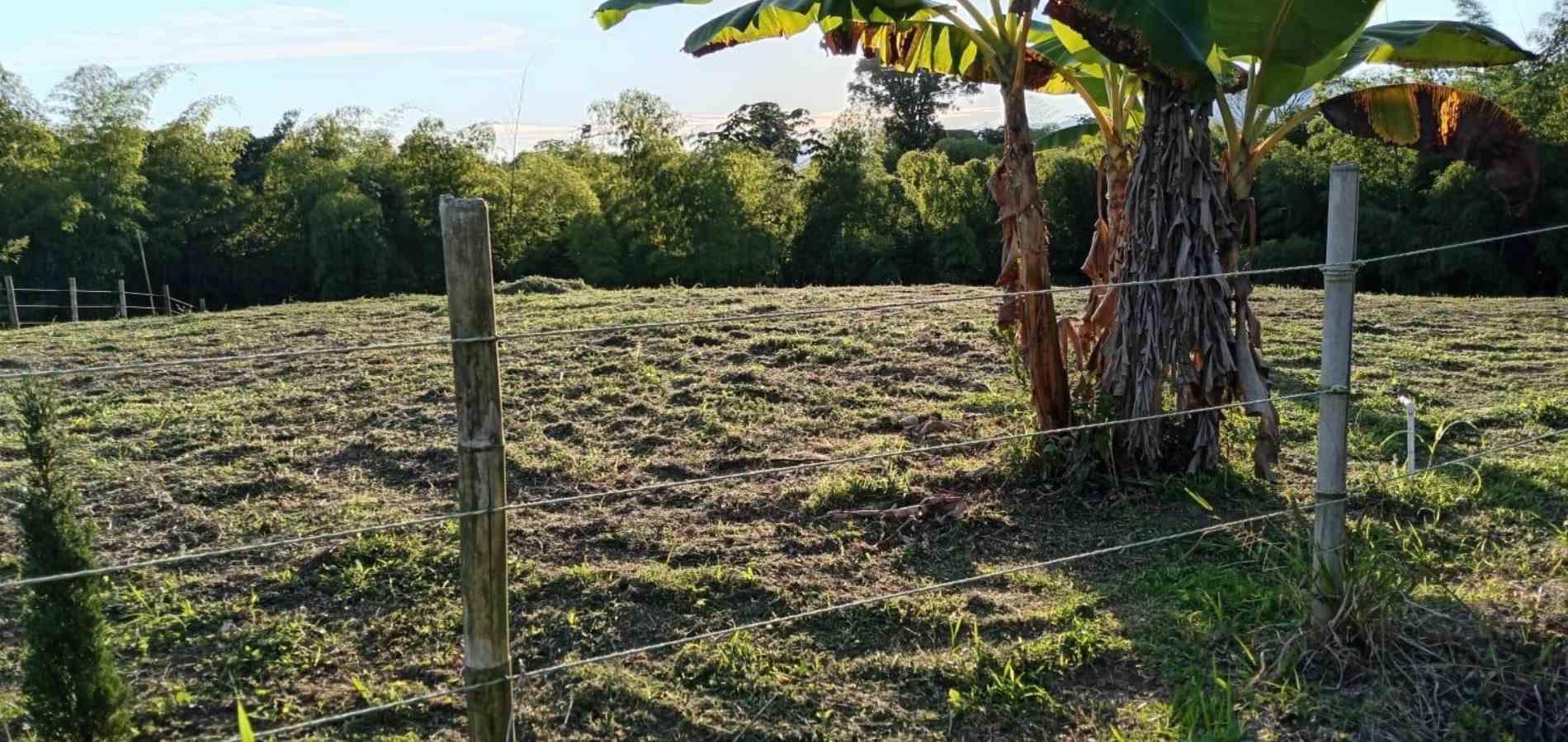Foto de Lote / terreno para Venta en Centro, Quimbaya - 279068851