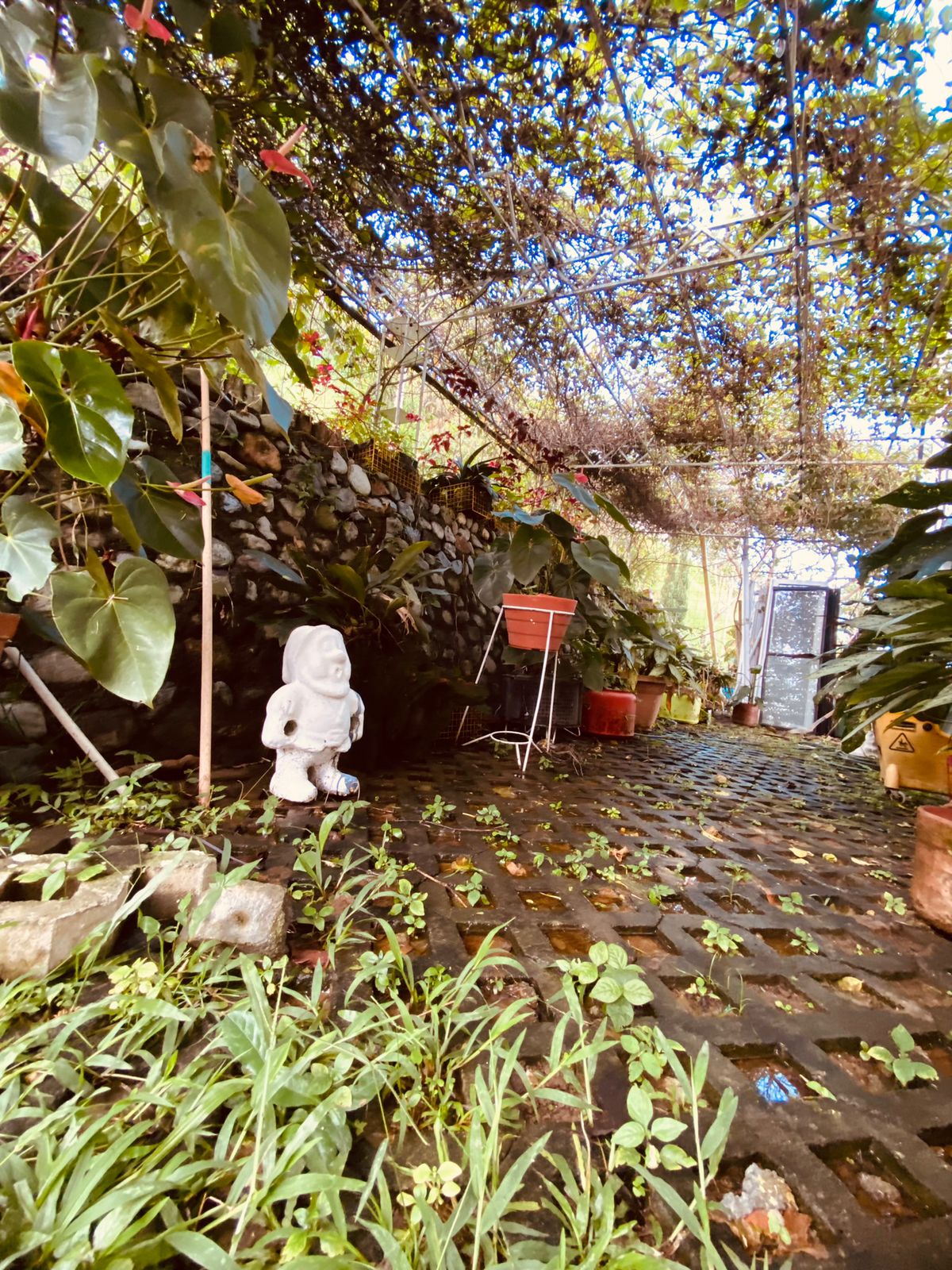Foto de Finca en Venta en Vereda santagueda, Palestina - 20 - 279064212