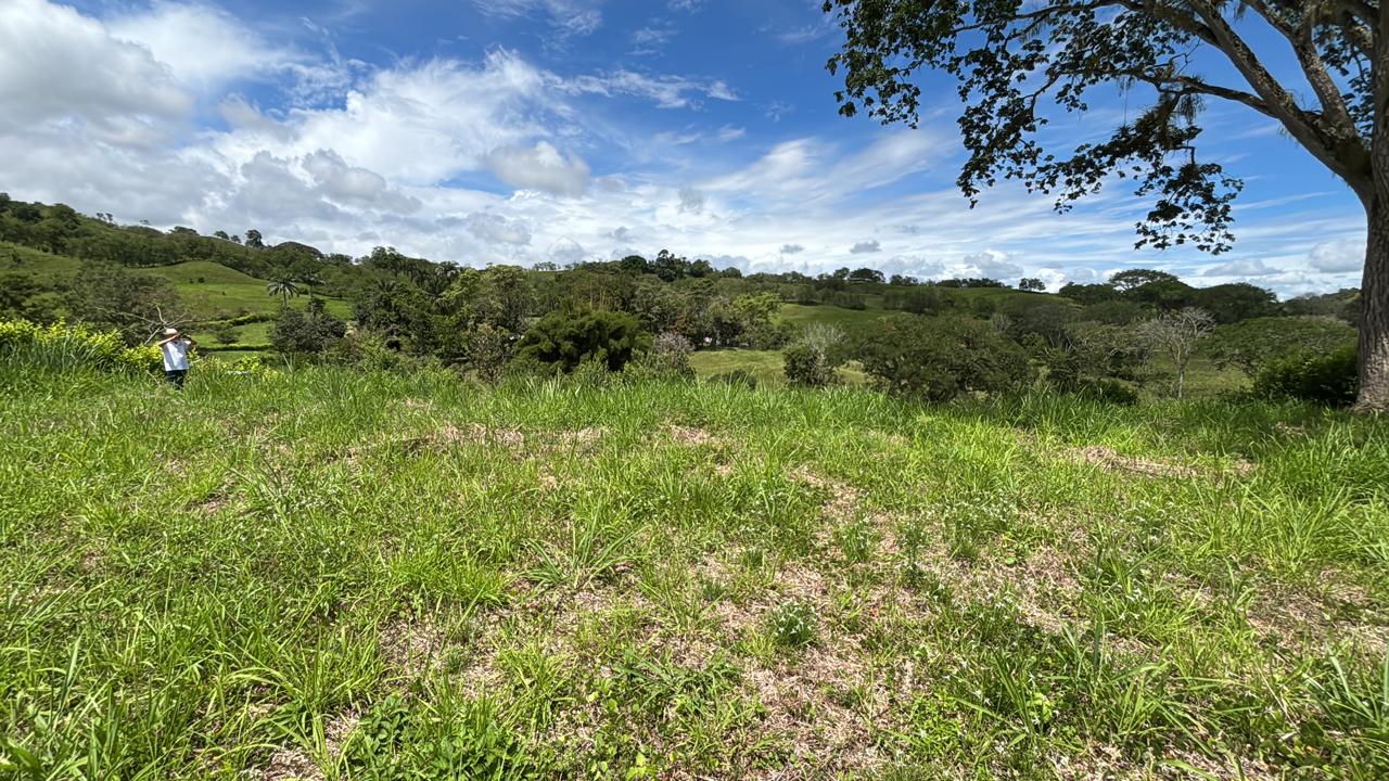 Foto de Lote / terreno en Venta en Kilometro 46, Neira - 3 - 279066726