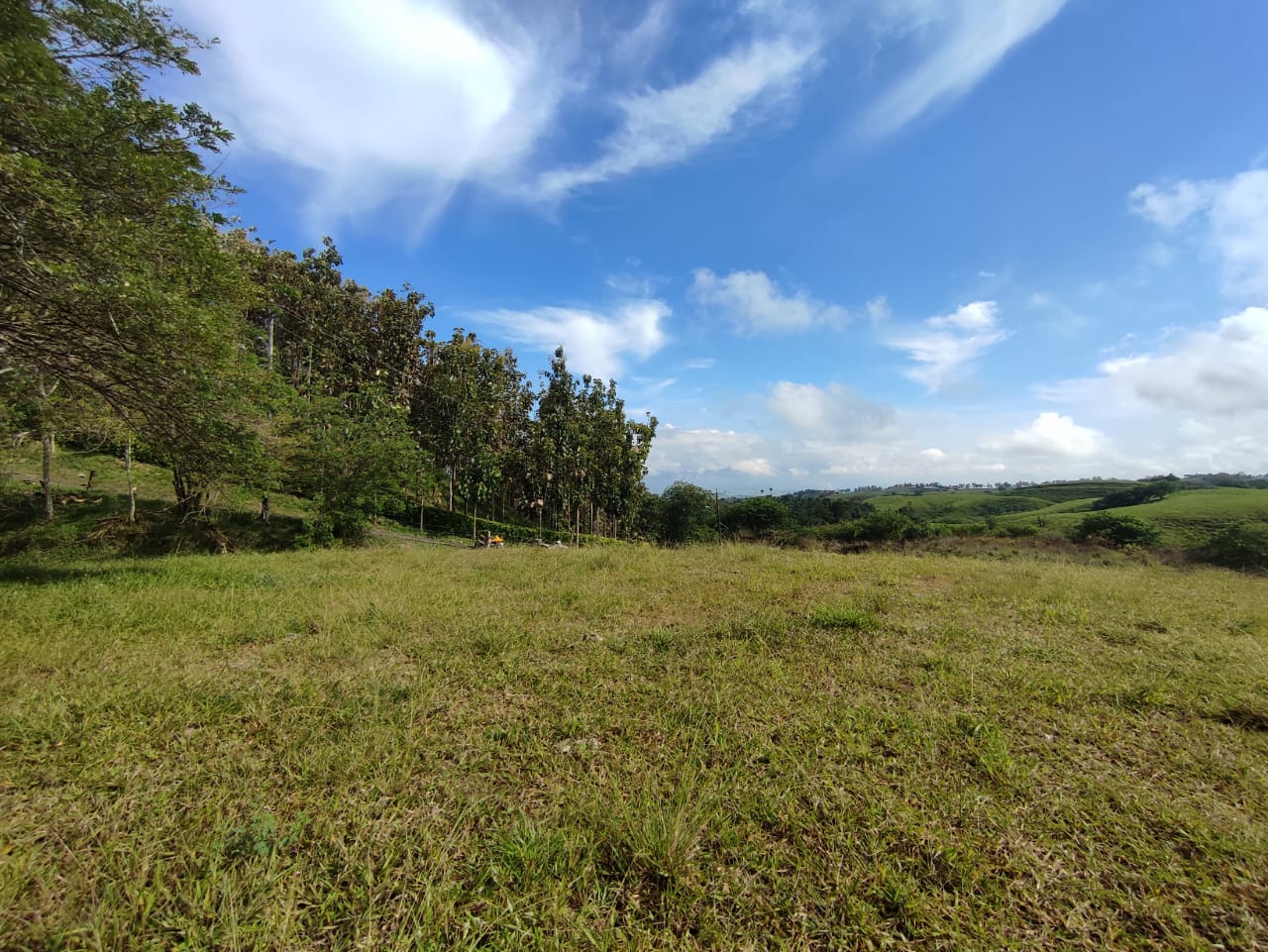 Foto de Lote / terreno en Venta en Centro, Pereira - 7 - 279063216