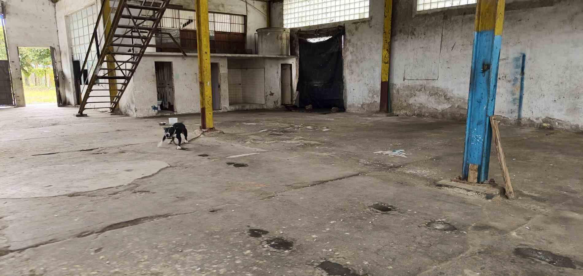 Foto de Bodega en Arriendo en San josé, Armenia  - 10 - 279066576