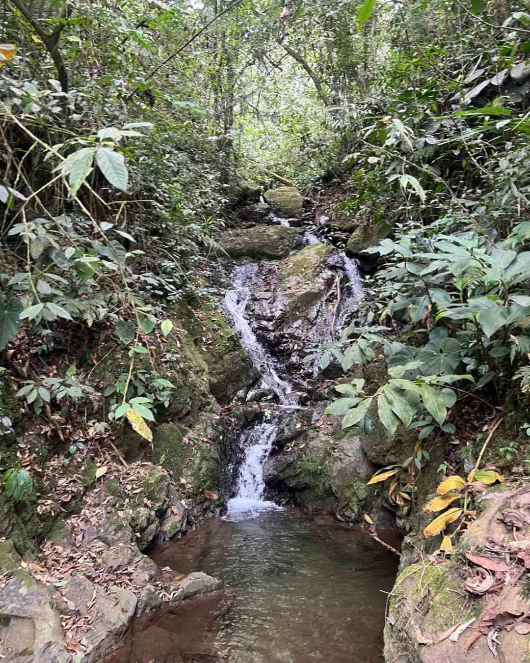 Foto de Finca para Venta en Calarca, Calarca - 279061849