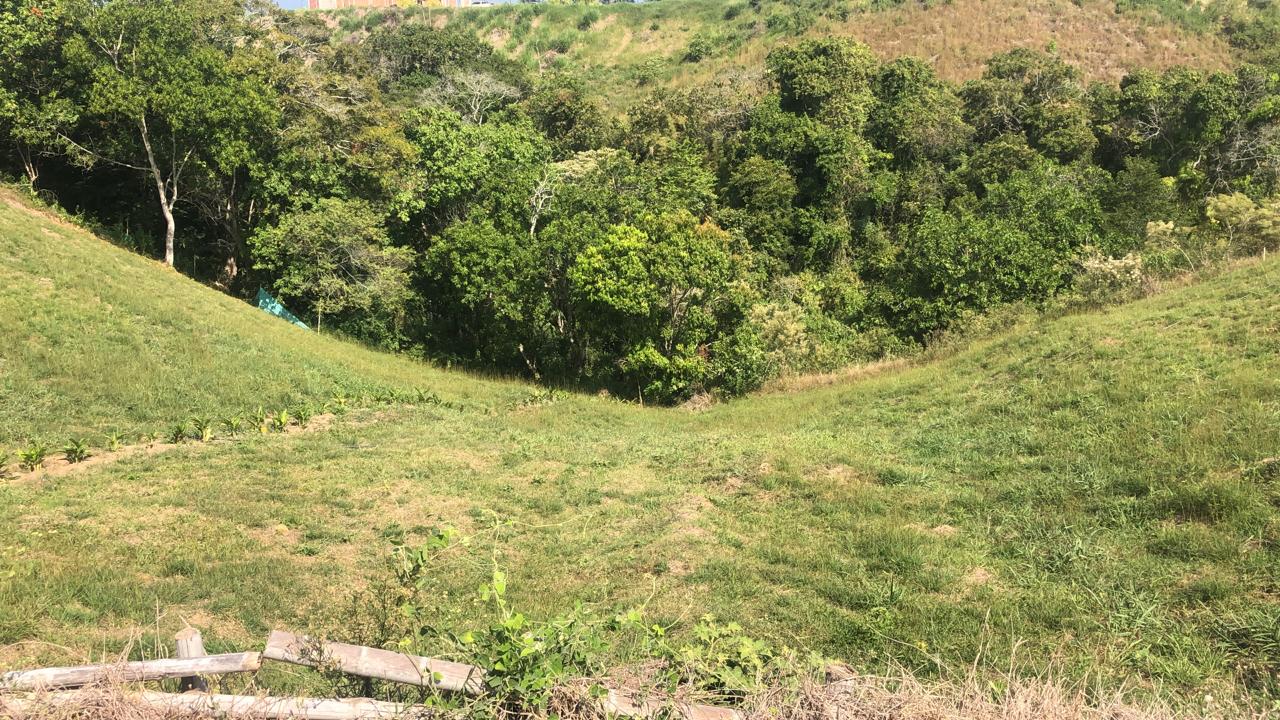 Foto de Lote / terreno en Venta en Cerritos, Pereira - 4 - 279055628