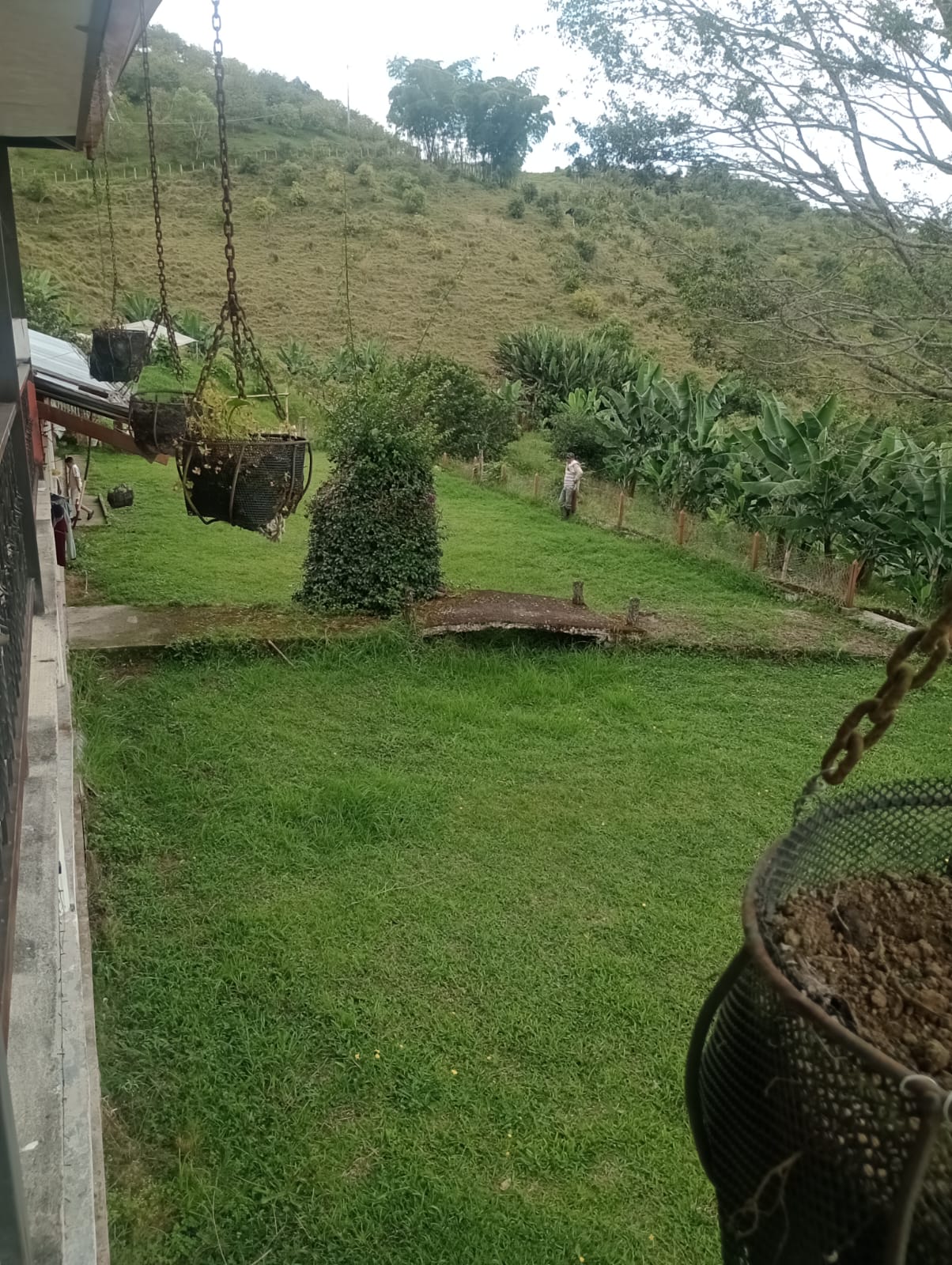 Foto de Finca en Venta en Vereda portochelo, Salamina - 1 - 279055104