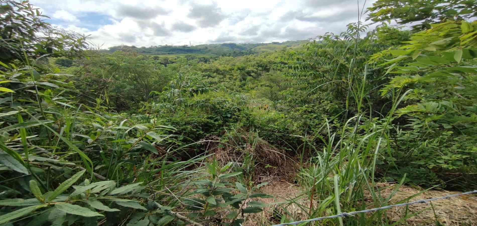 Foto de Lote / terreno en Venta en Cerritos, Pereira - 1 - 279063220