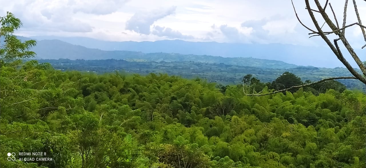 Foto de Lote / terreno en Venta en Altagracia, Pereira - 4 - 279057421