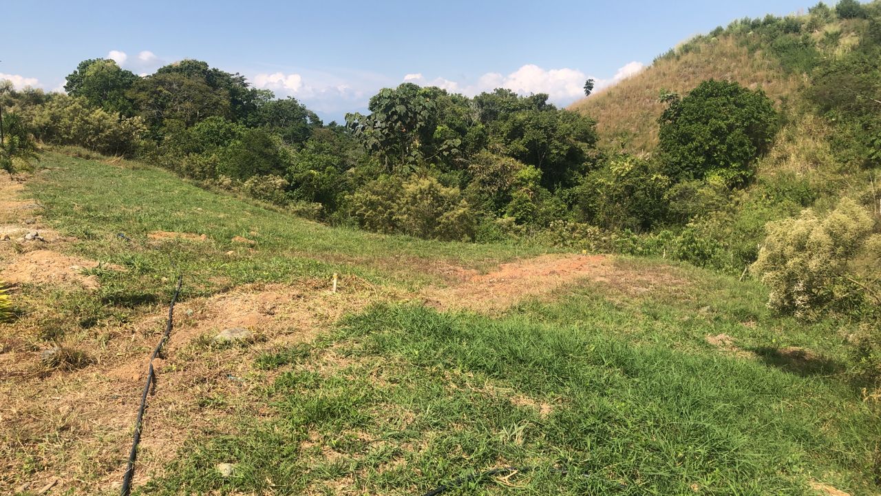 Foto de Lote / terreno en Venta en Centro, Pereira - 3 - 279055598