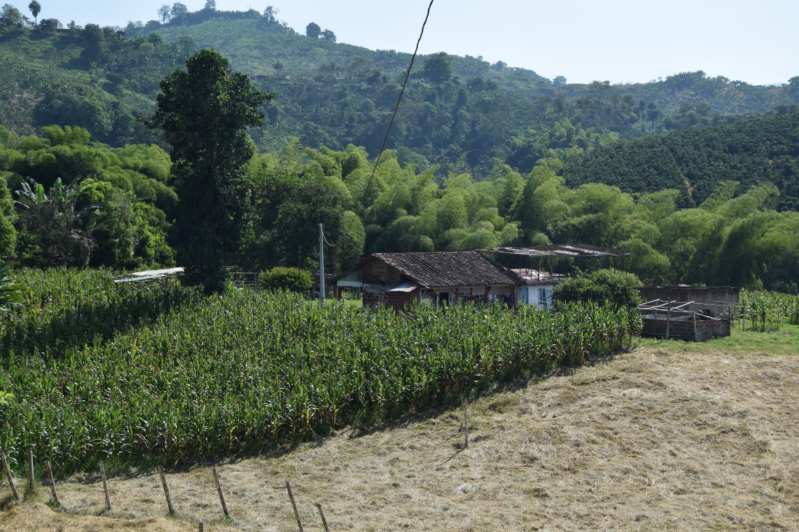 Foto de Finca en Venta en La cabaña, Manizales - 10 - 279058352